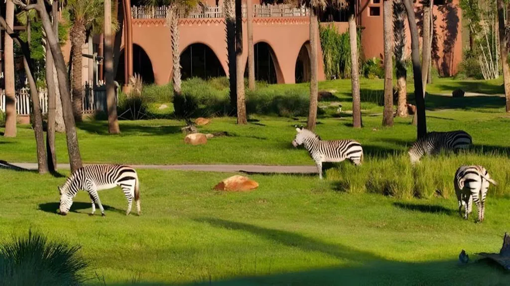 Disney's Animal Kingdom Lodge