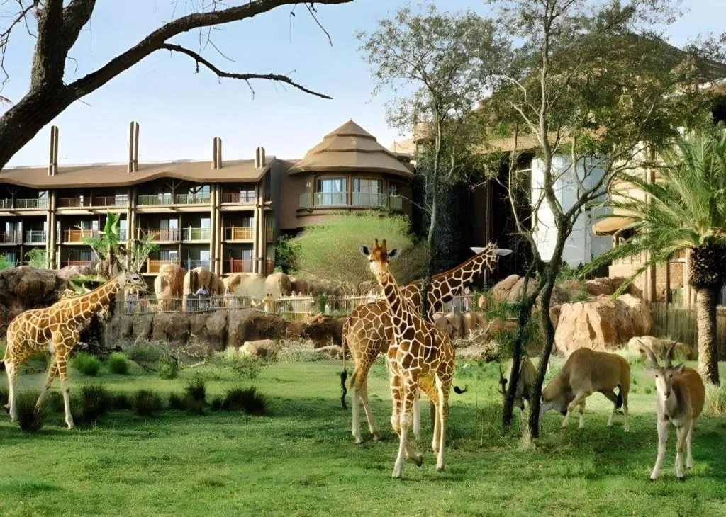 Disney's Animal Kingdom Lodge