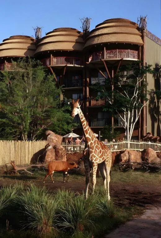 Disney's Animal Kingdom Lodge
