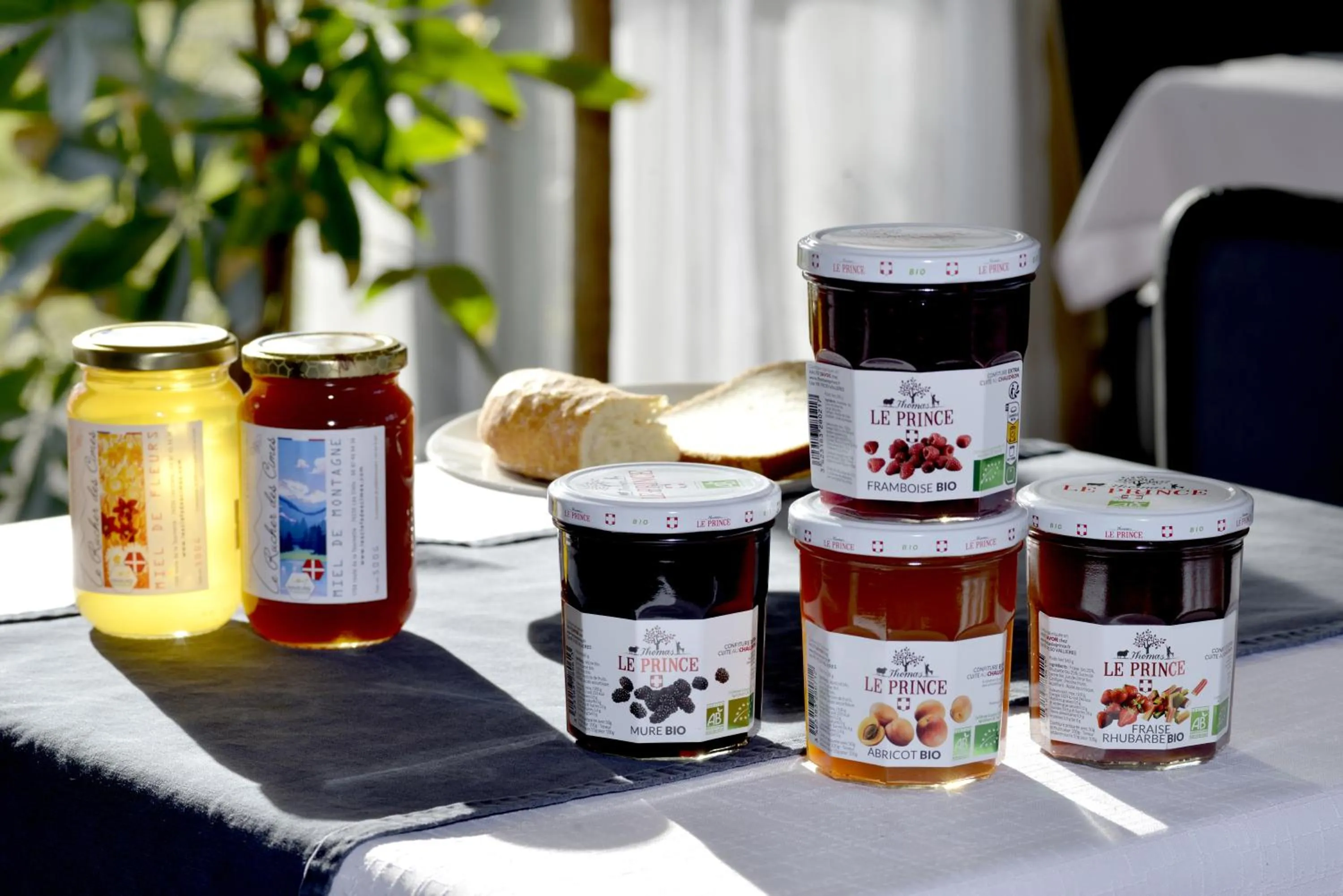 Buffet breakfast in Kyriad Annecy Nord - Epagny