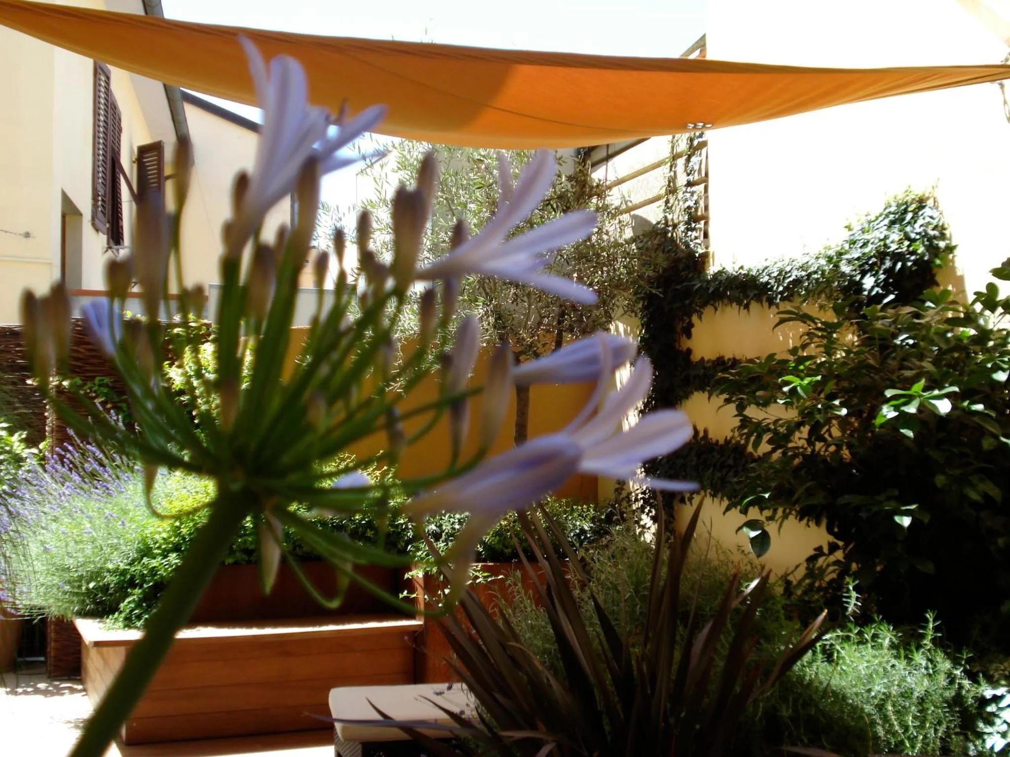 Patio in B&B Guerrazzi