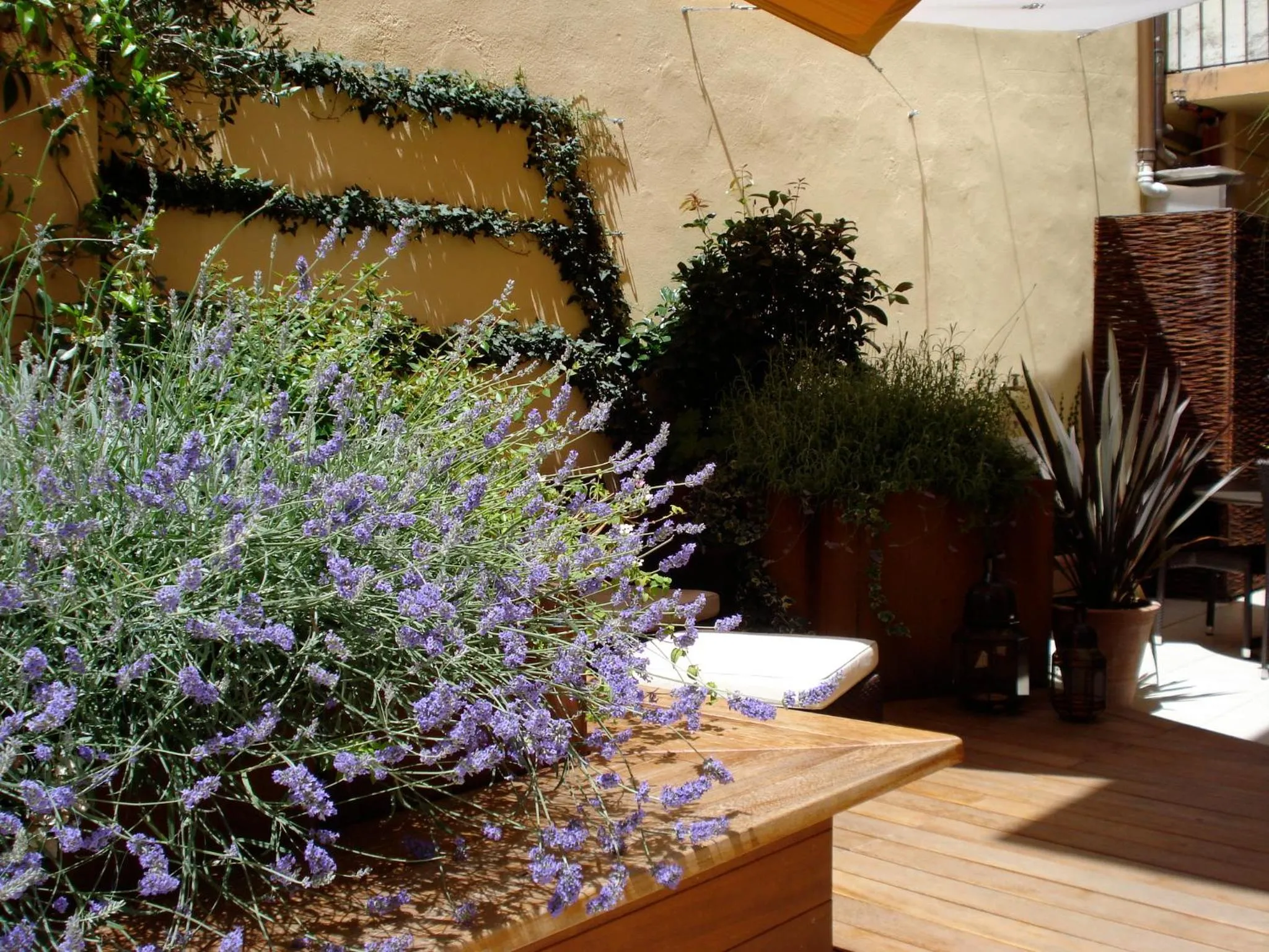Patio in B&B Guerrazzi