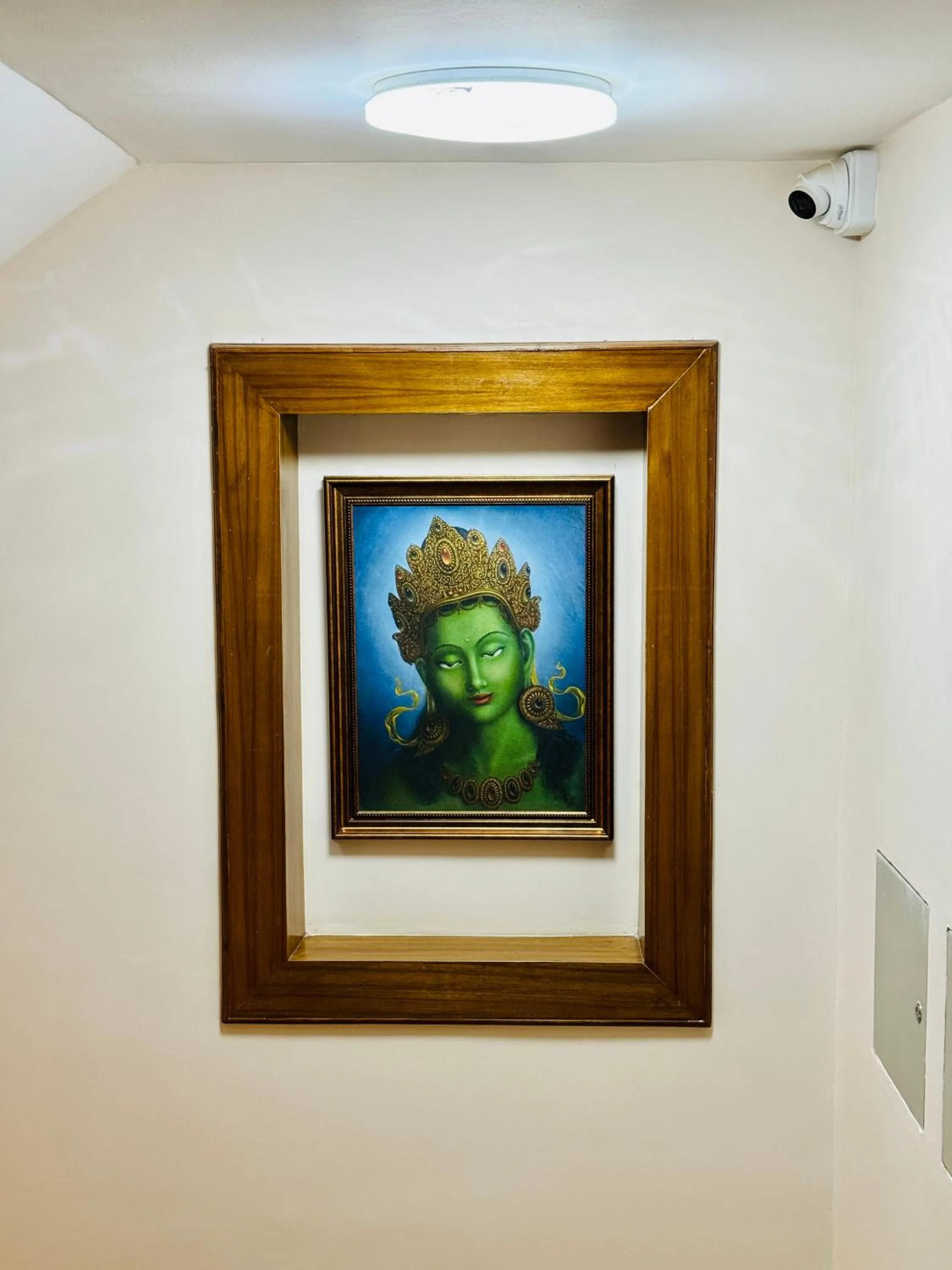 internet in Hotel Bayberry Kathmandu - Near Tribhuvan International Airport