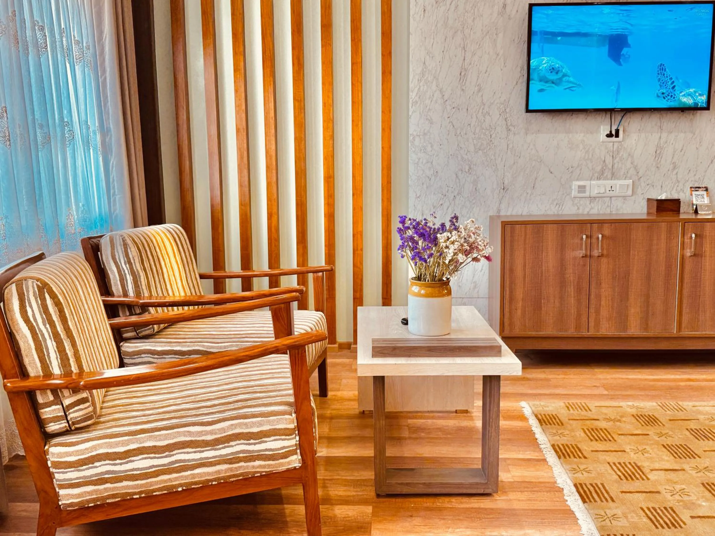 TV and multimedia in Hotel Bayberry Kathmandu - Near Tribhuvan International Airport