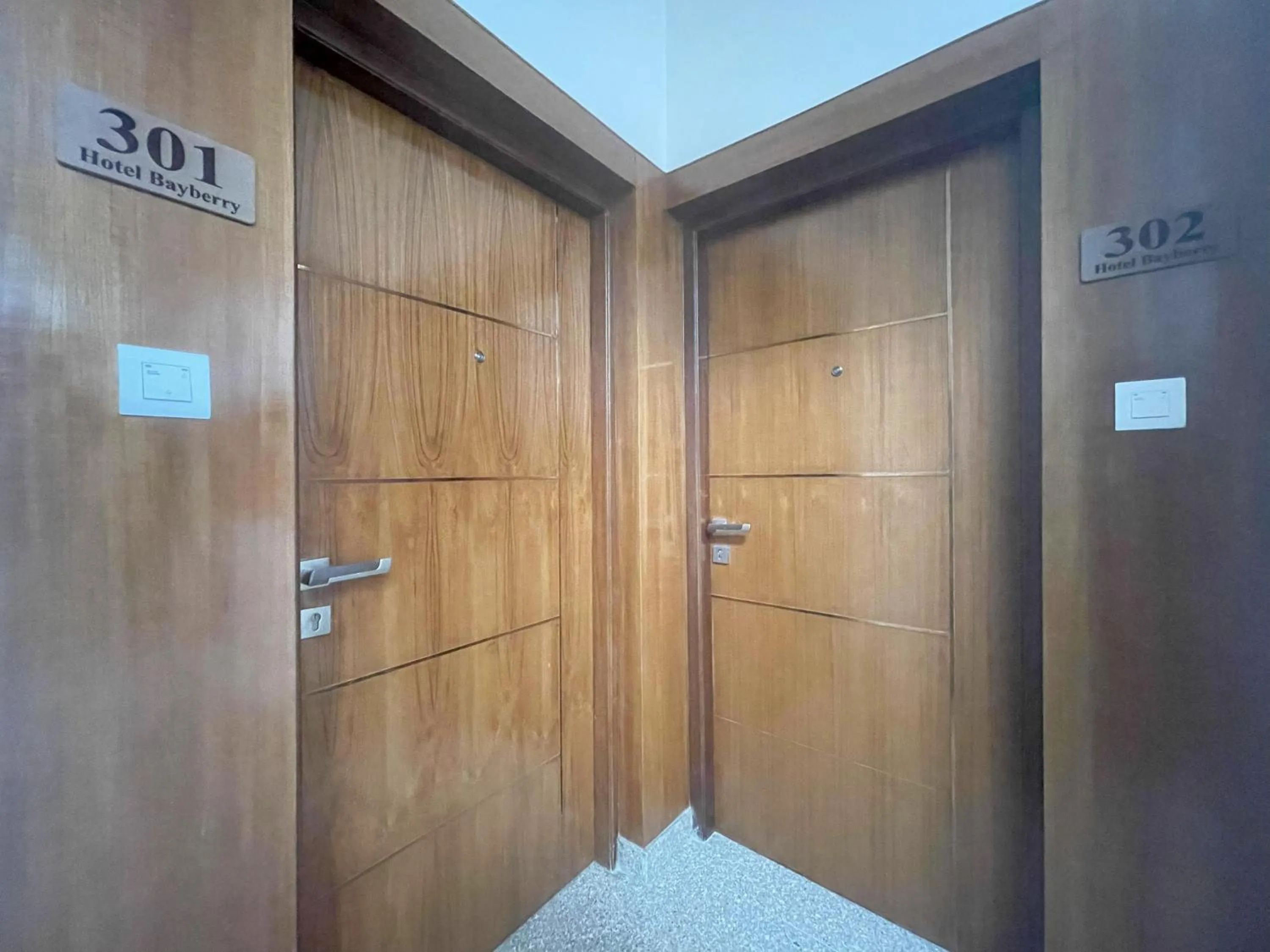 Other in Hotel Bayberry Kathmandu - Near Tribhuvan International Airport