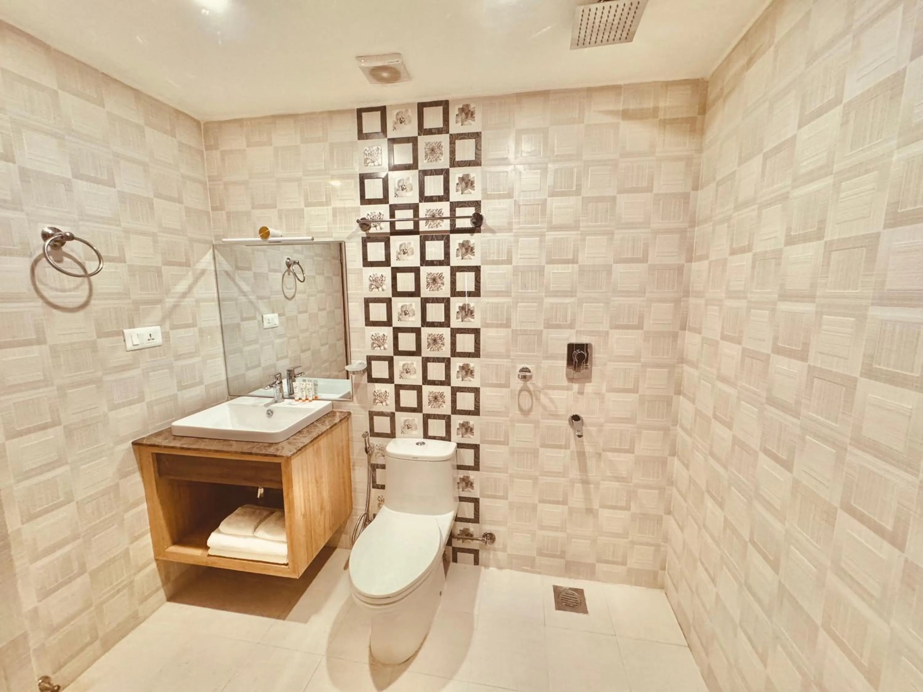 Toilet in Hotel Bayberry Kathmandu - Near Tribhuvan International Airport