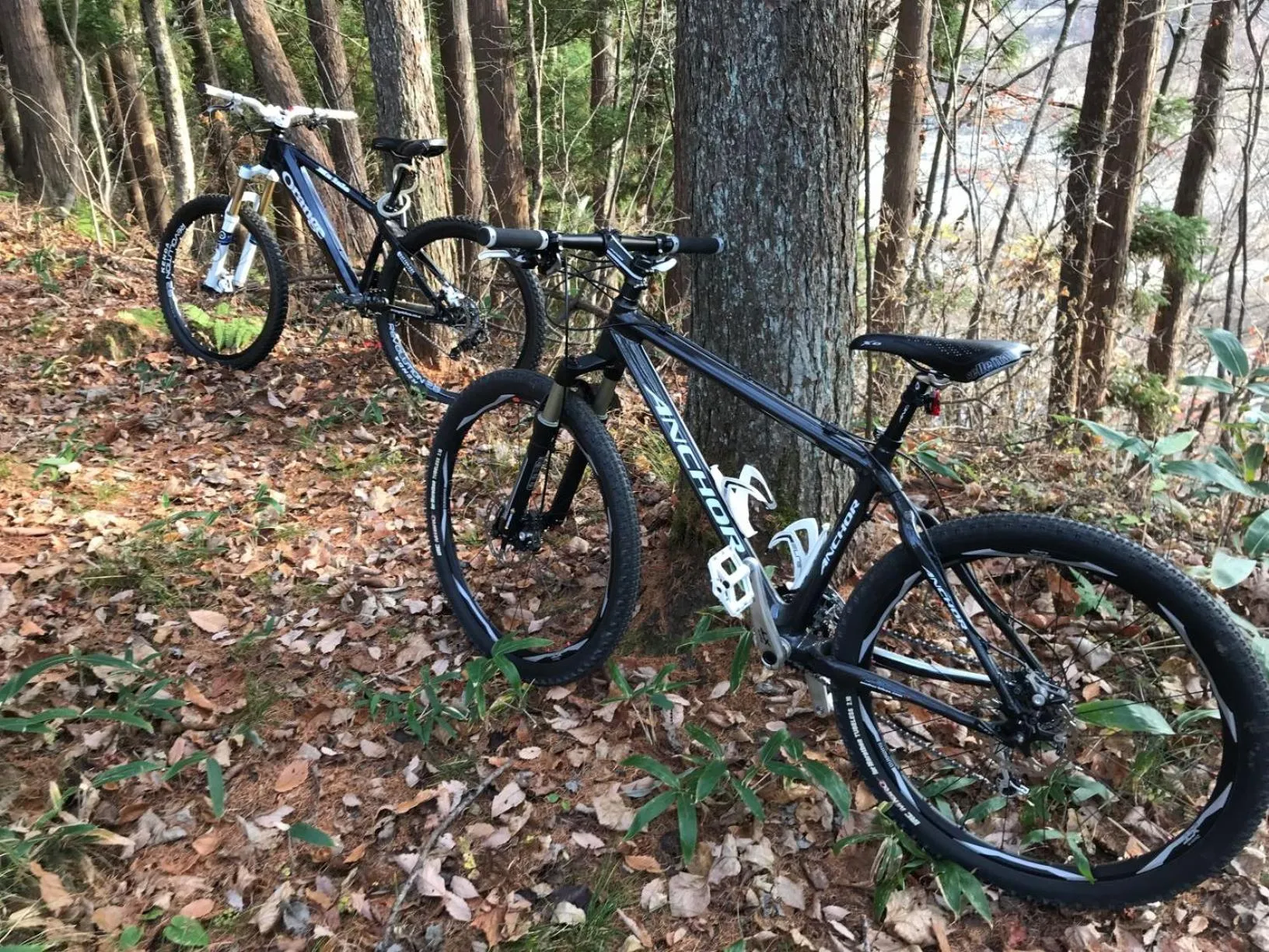 Cycling in Community House Tyrolien