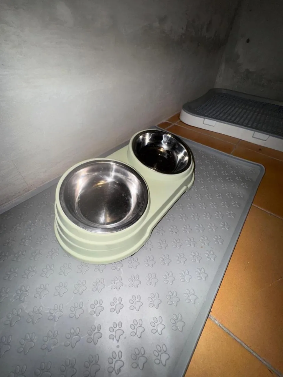 Animals in Eisei House