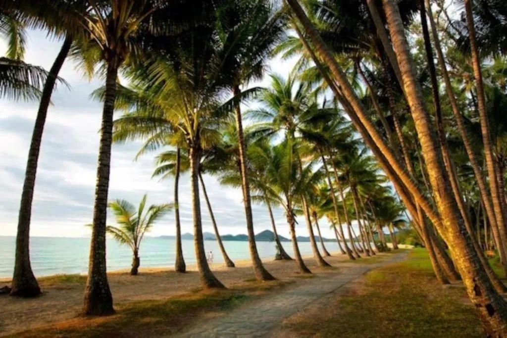 Palm Cove Studio Apartments