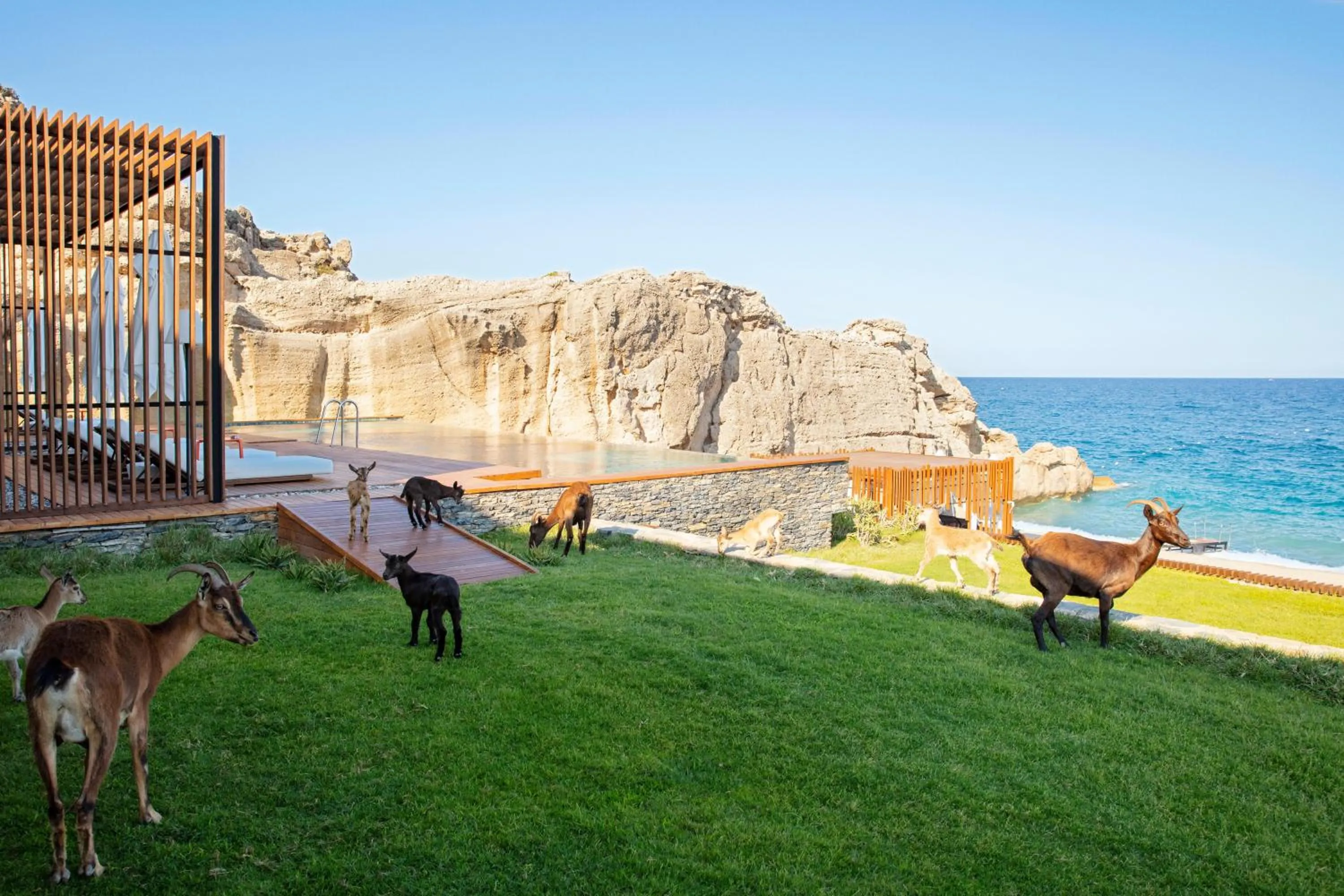 Photo of the whole room in Maxx Royal Kemer Resort