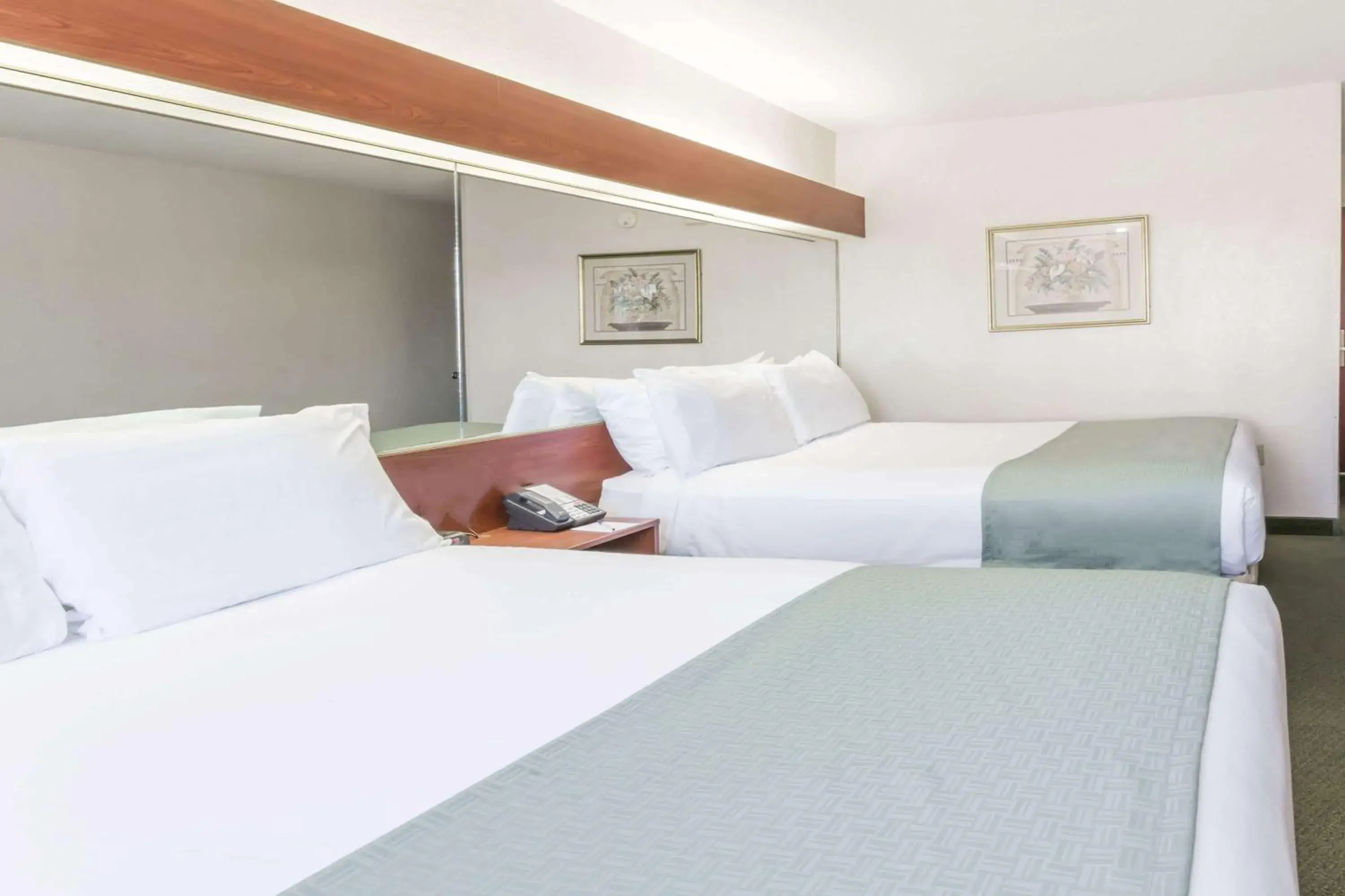 Photo of the whole room, Bed in Microtel Inn & Suites Marianna Photo of the whole room, Bed in Microtel Inn & Suites Marianna