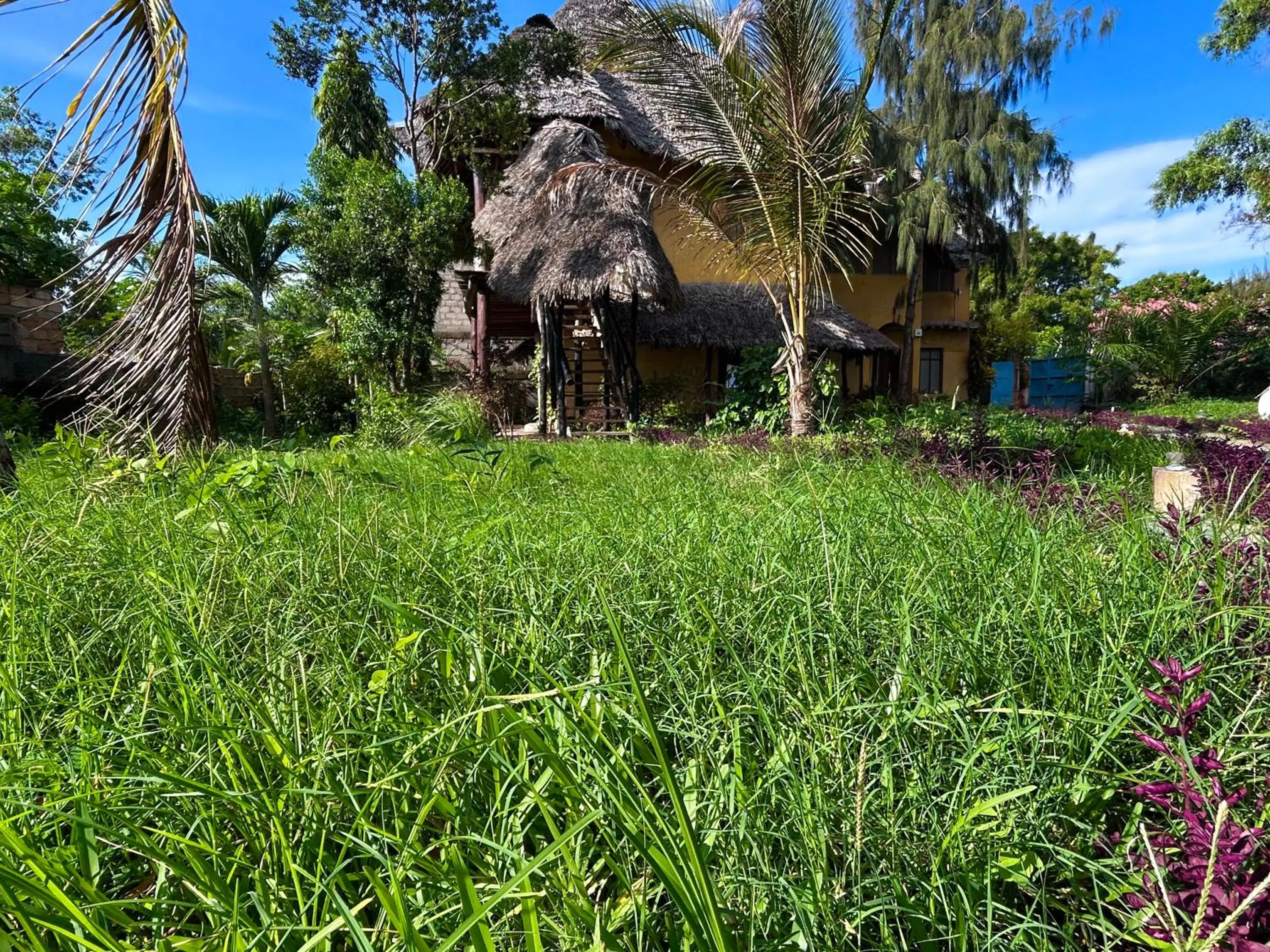 The Tropinest bungalow