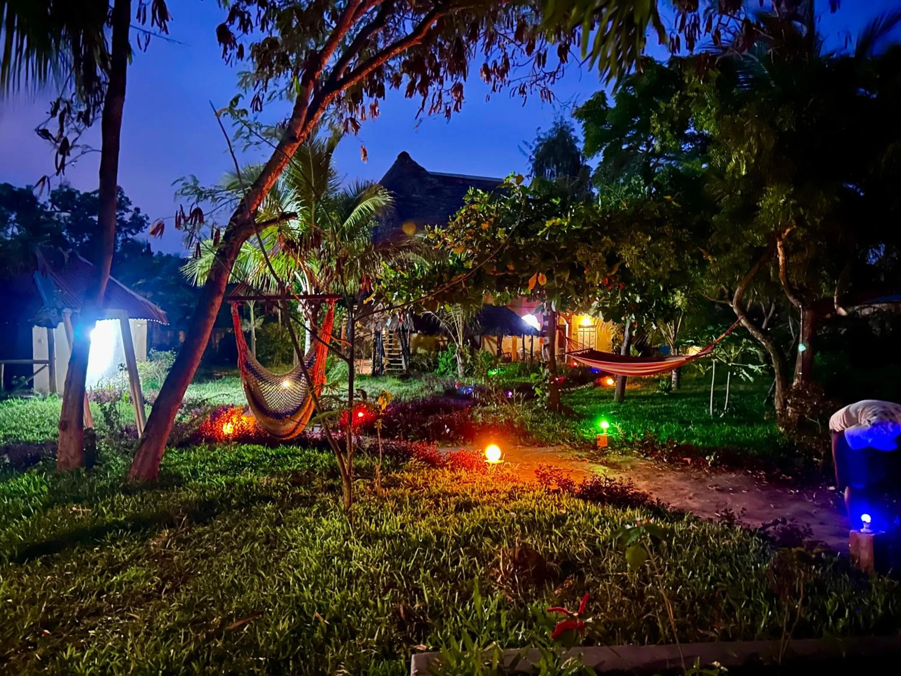 Garden view in The Tropinest bungalow
