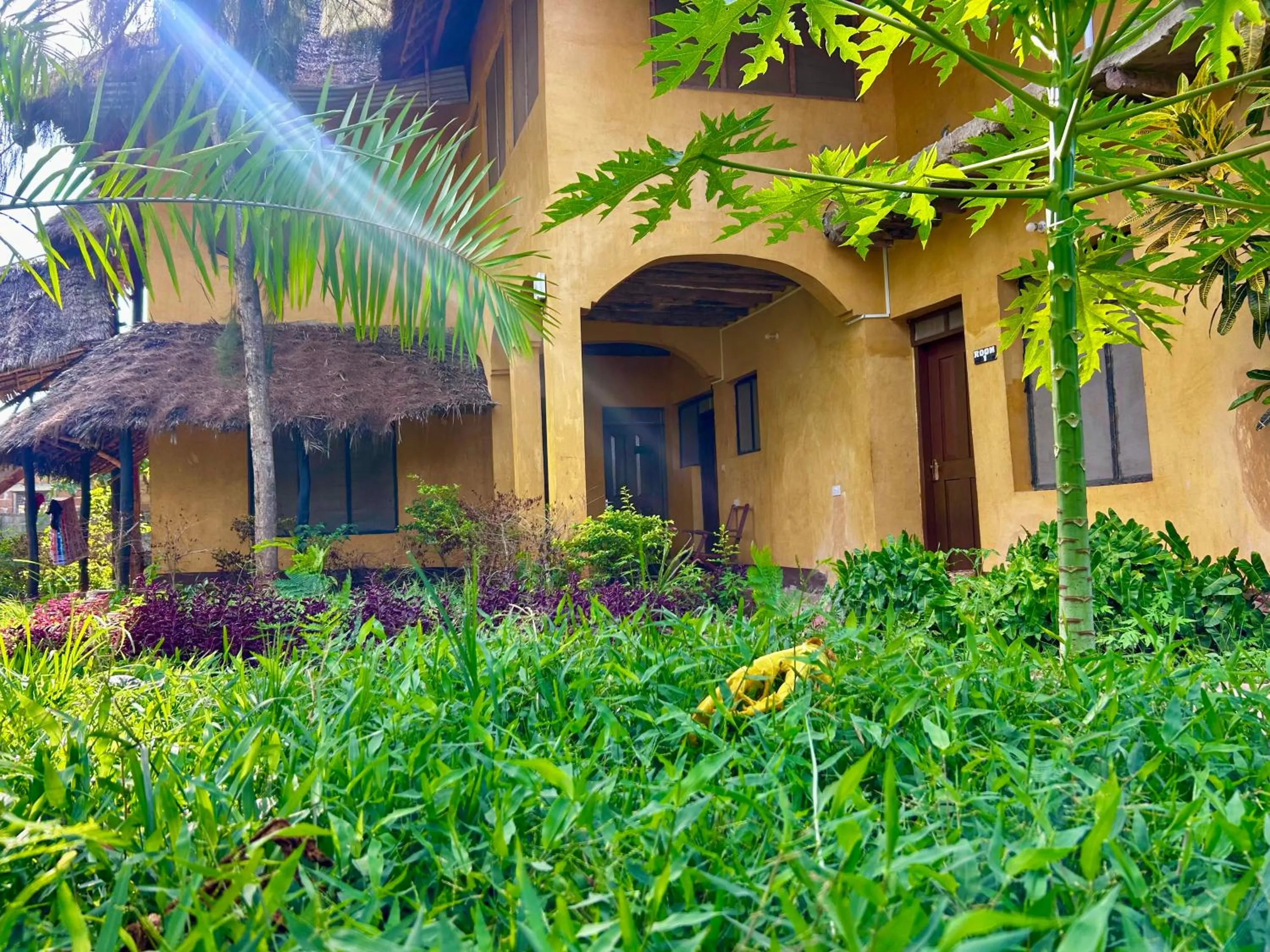 Property building in The Tropinest bungalow