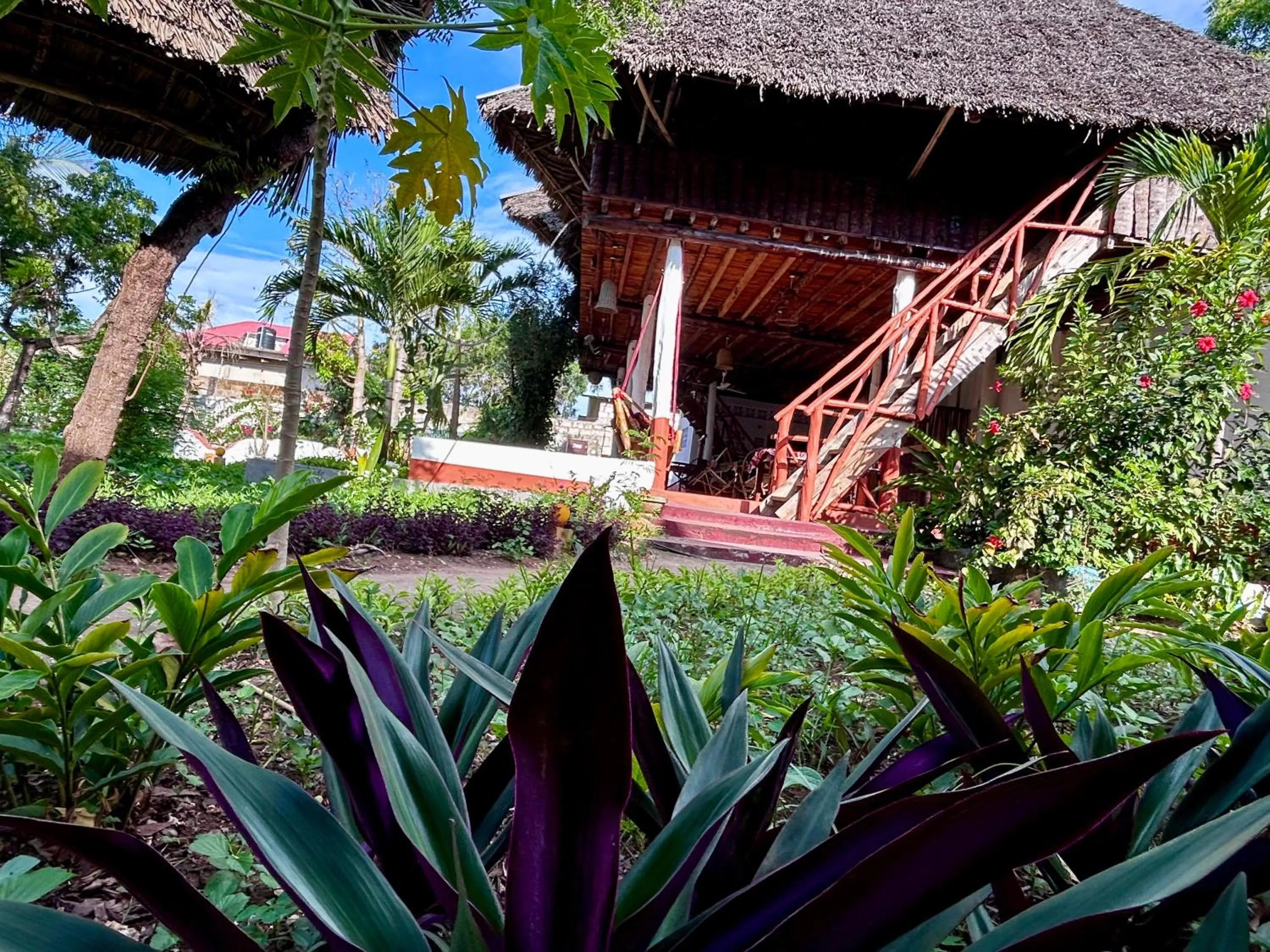 The Tropinest bungalow