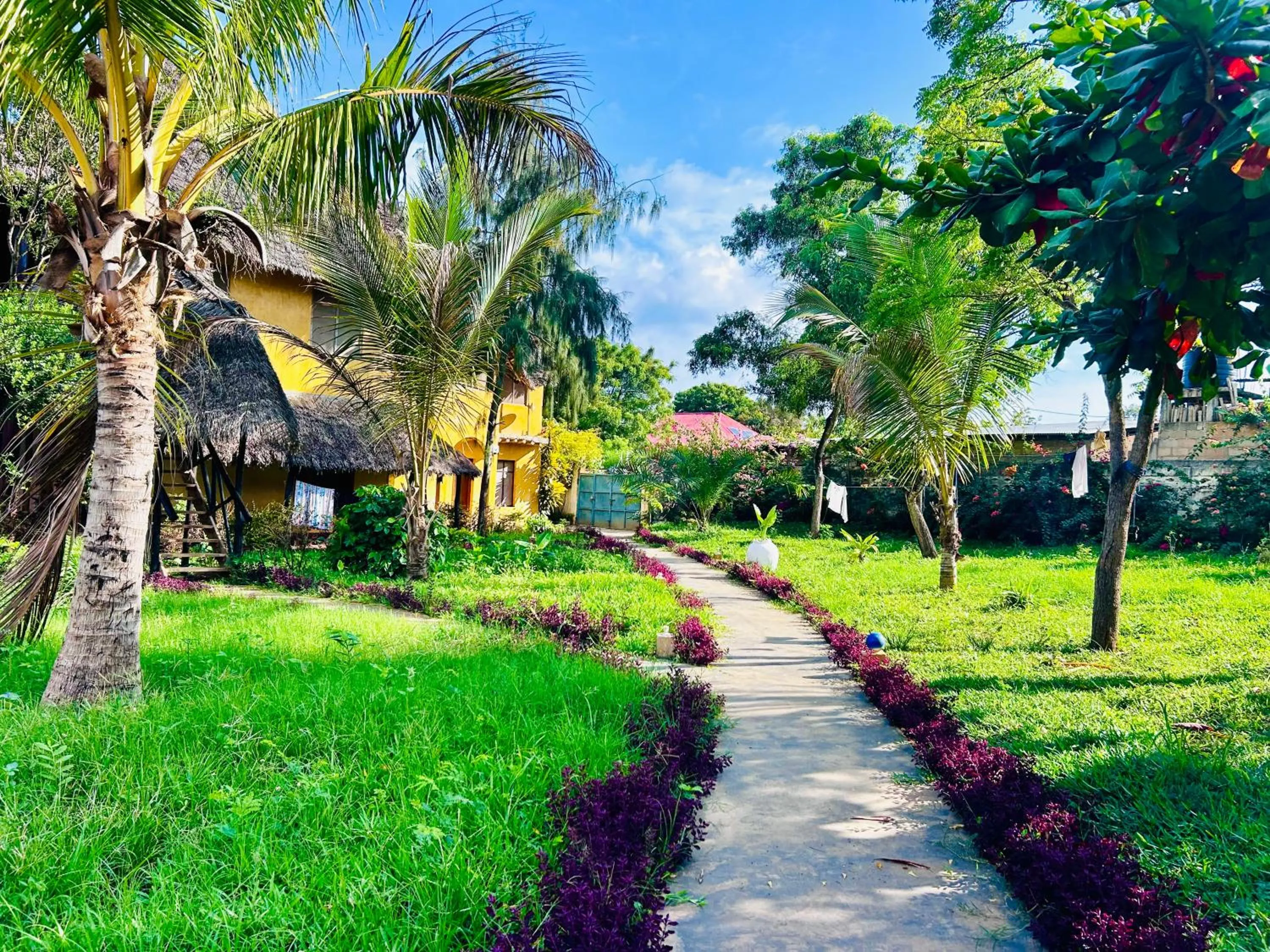 Garden in The Tropinest bungalow
