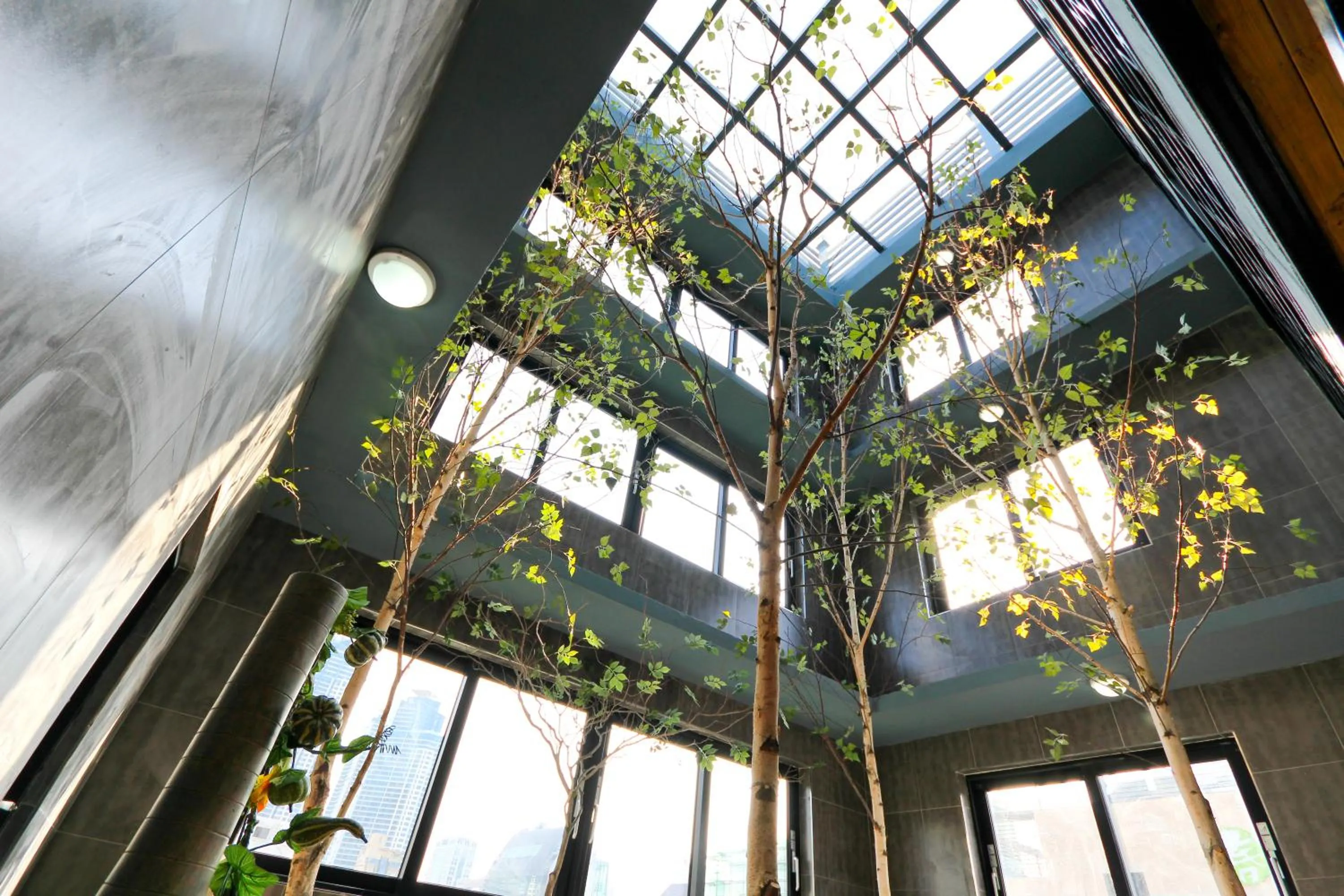 Balcony/Terrace in Hotel Home