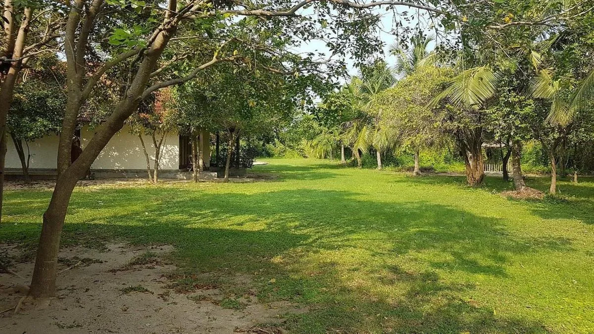 Garden view in Giman Free Beach Resort Pasikuda