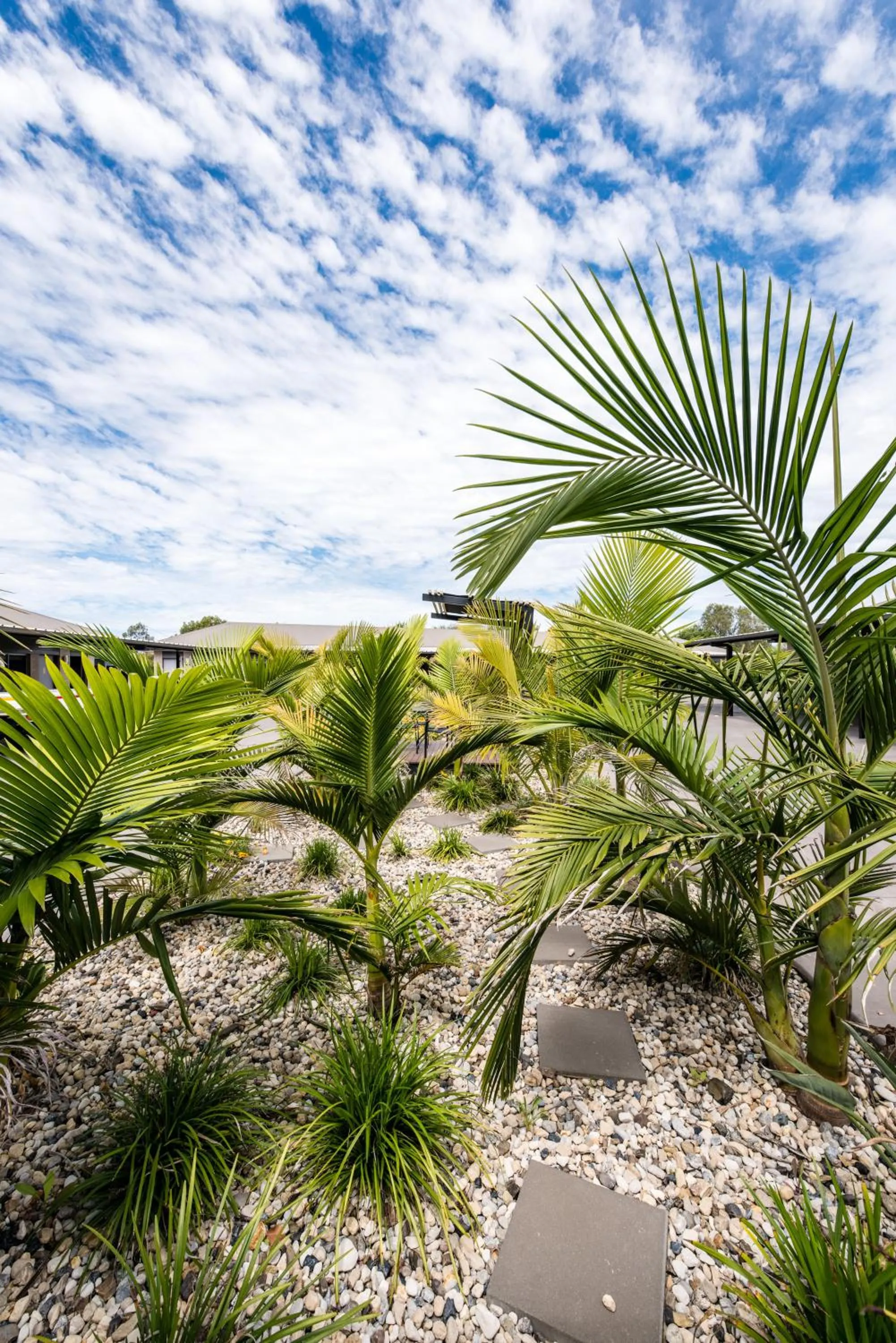 Garden in Athena Studio Units