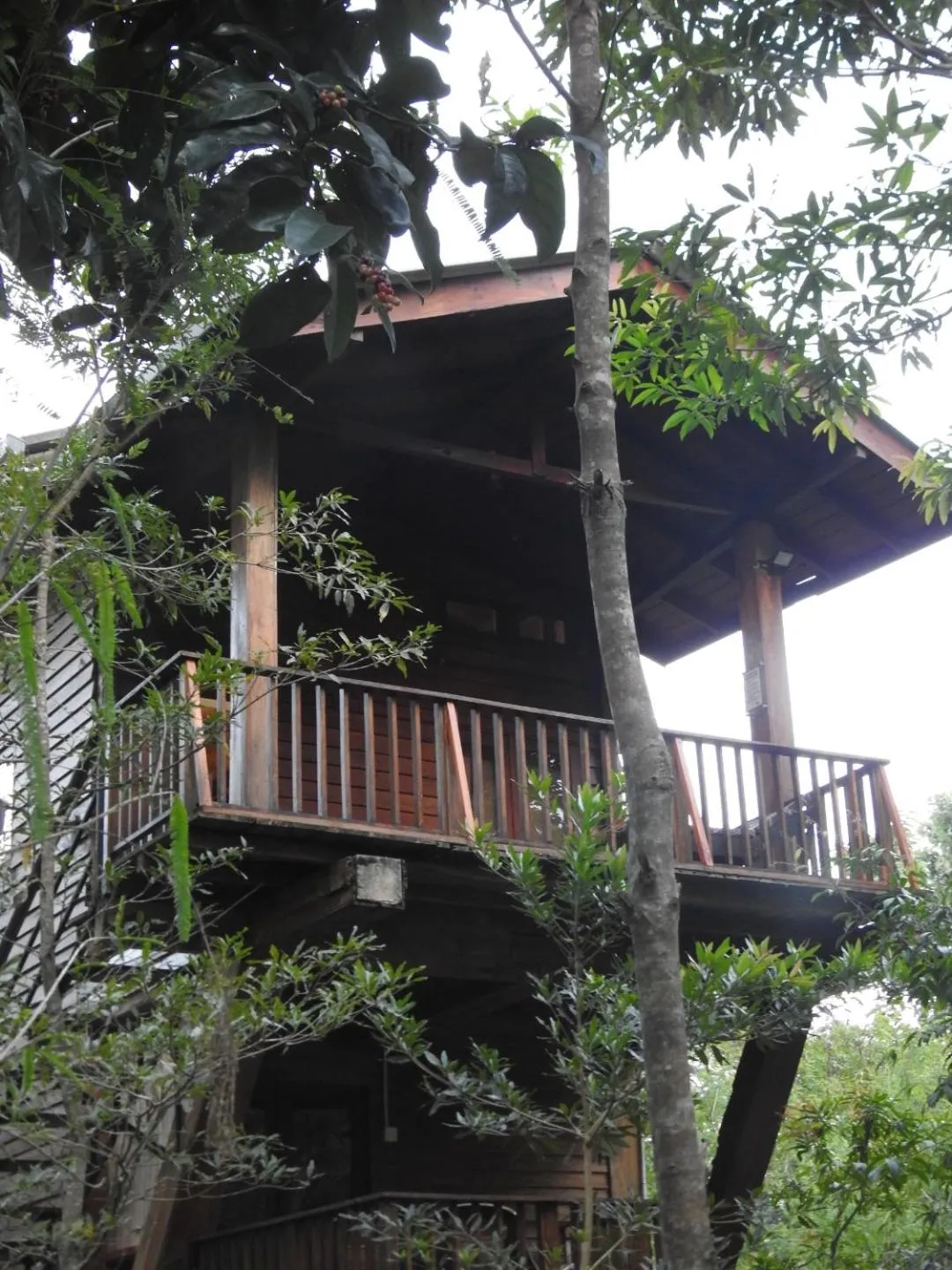 Property building in Wilpattu Tree House