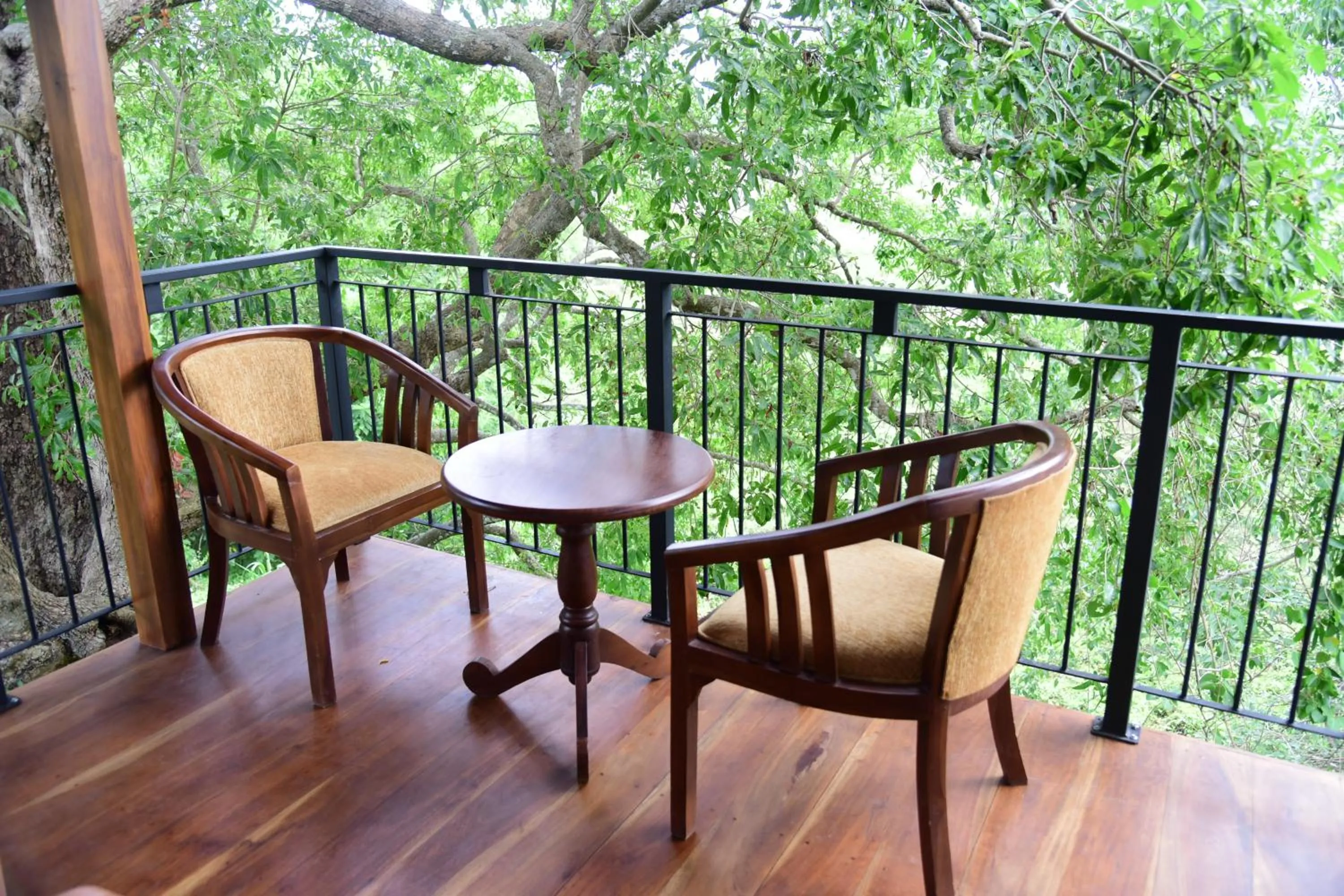 Balcony/Terrace in Wilpattu Tree House