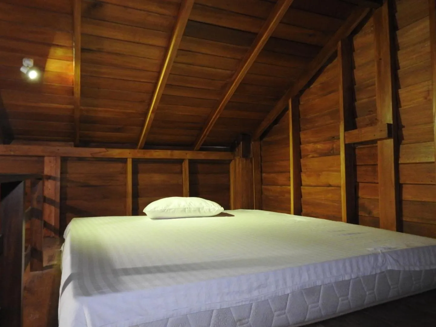 Property building, Bed in Wilpattu Tree House
