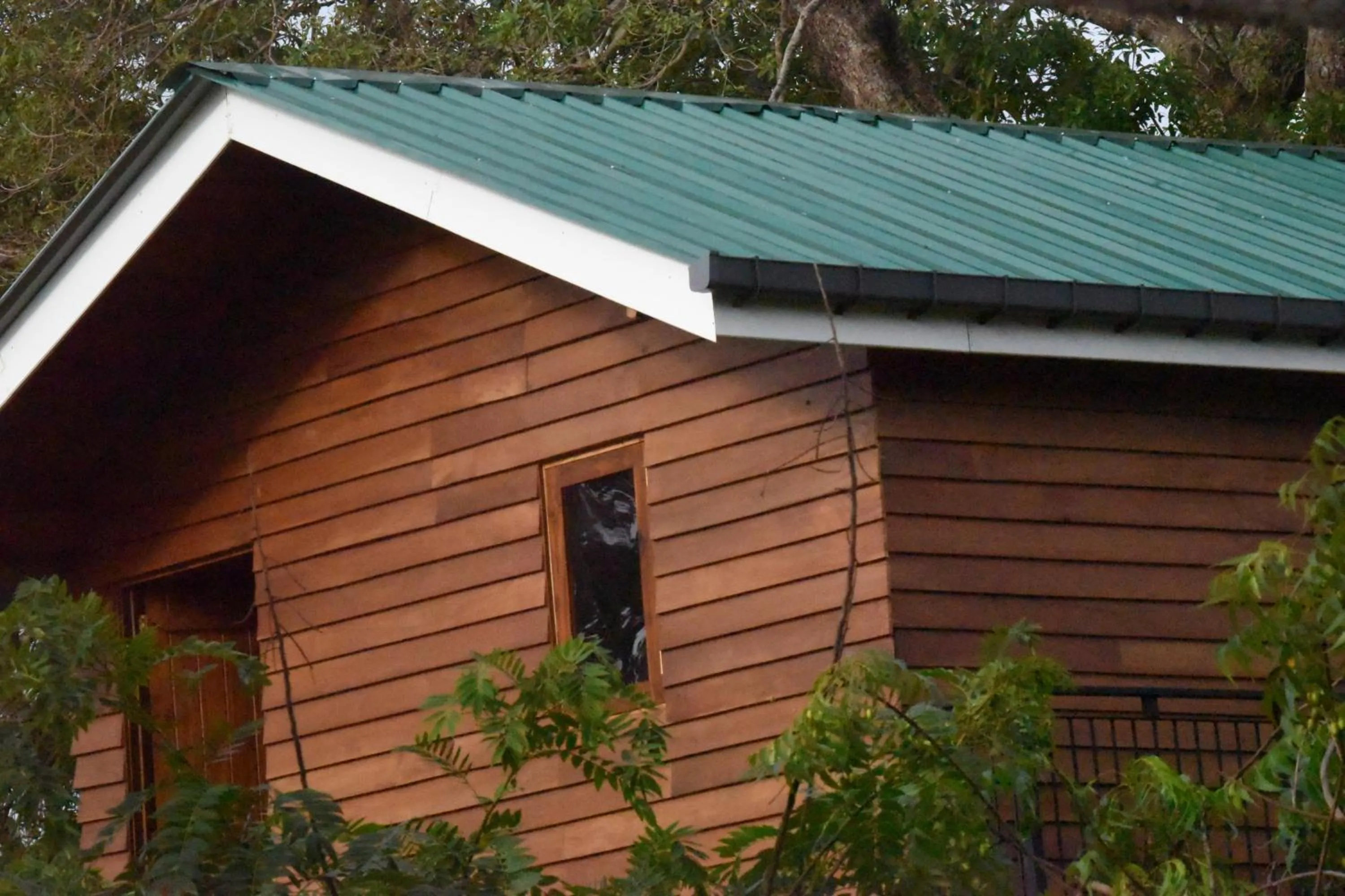 Garden view in Wilpattu Tree House