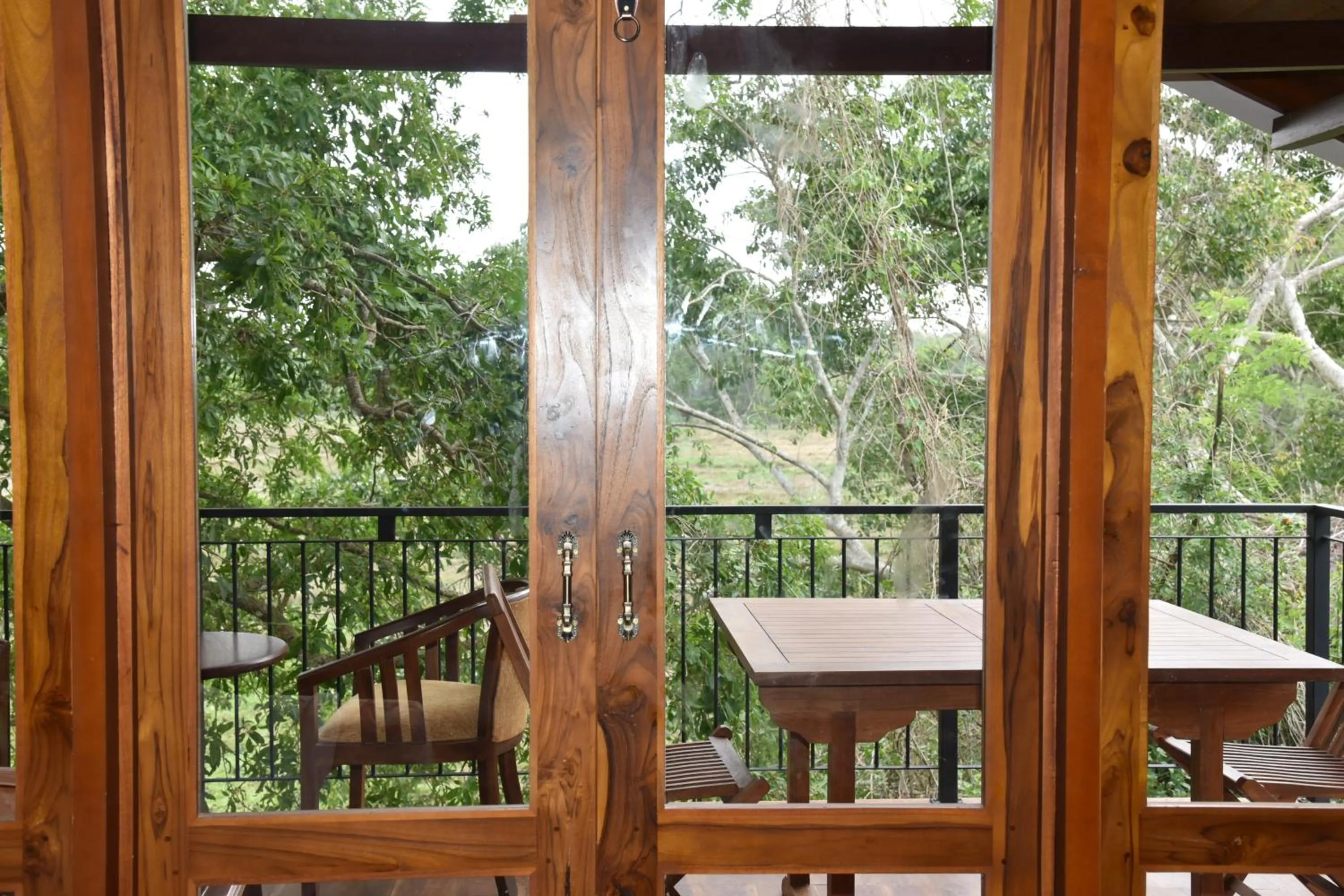 Balcony/Terrace in Wilpattu Tree House