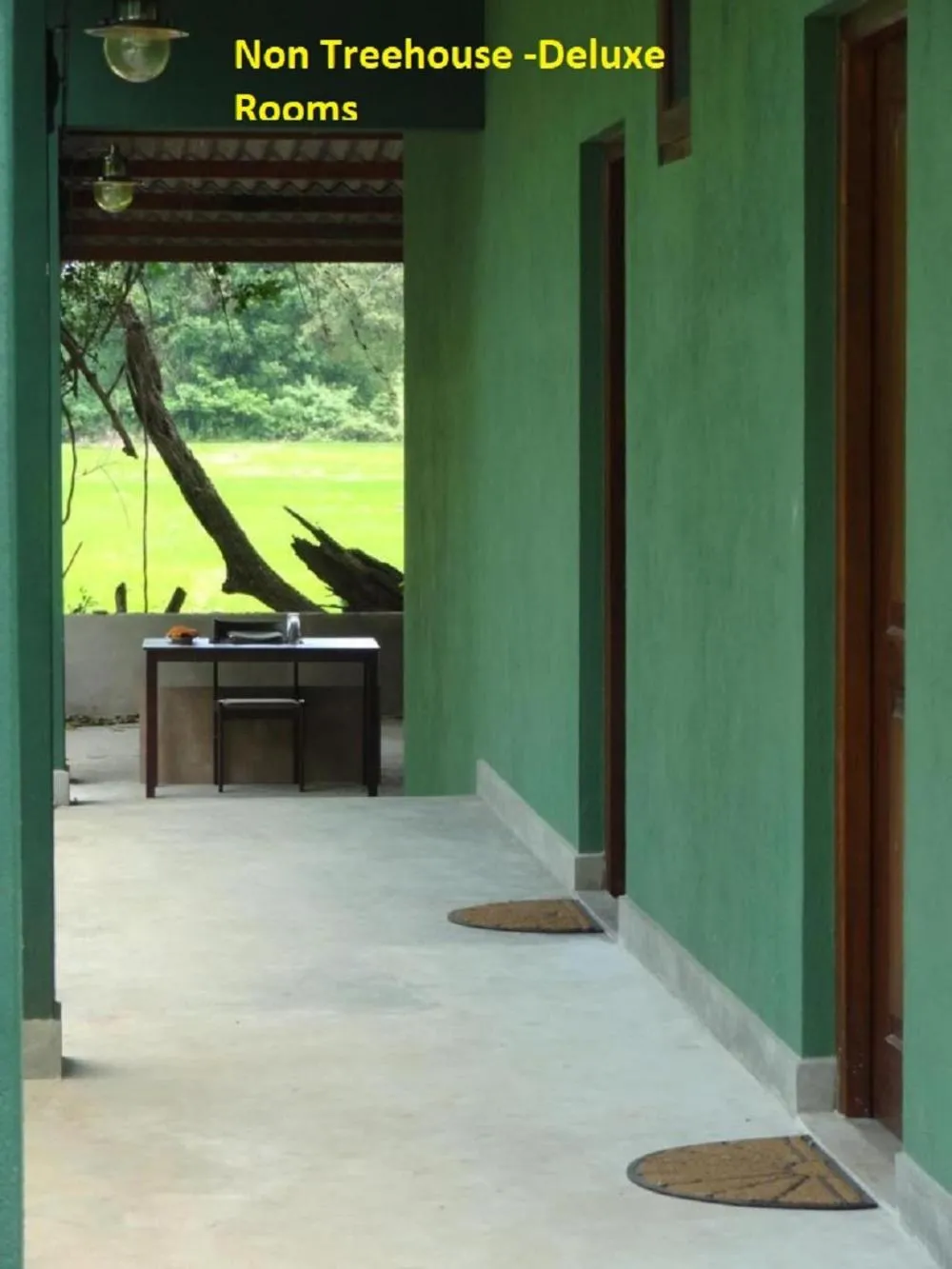 Property building in Wilpattu Tree House