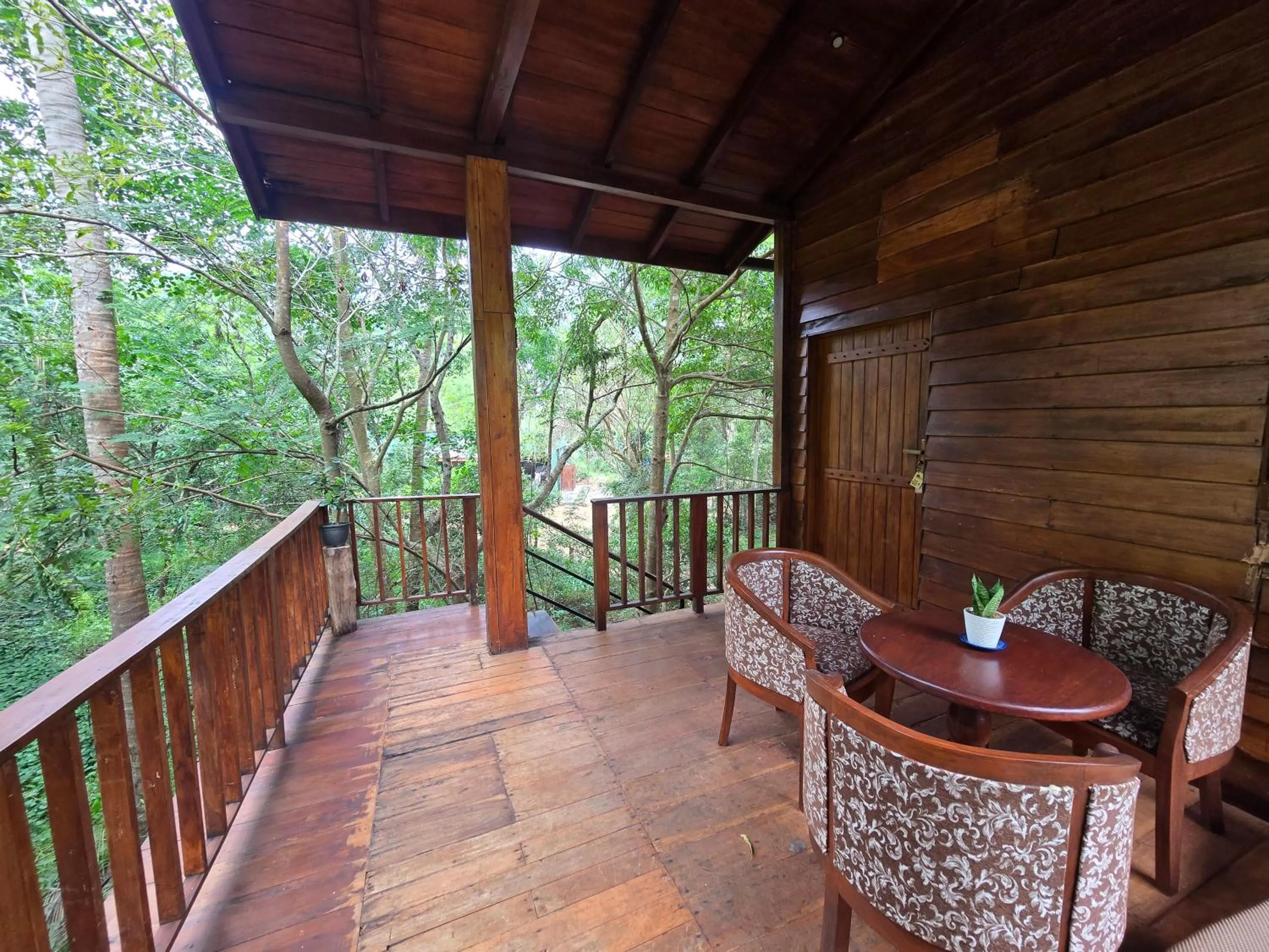 Balcony/Terrace in Wilpattu Tree House