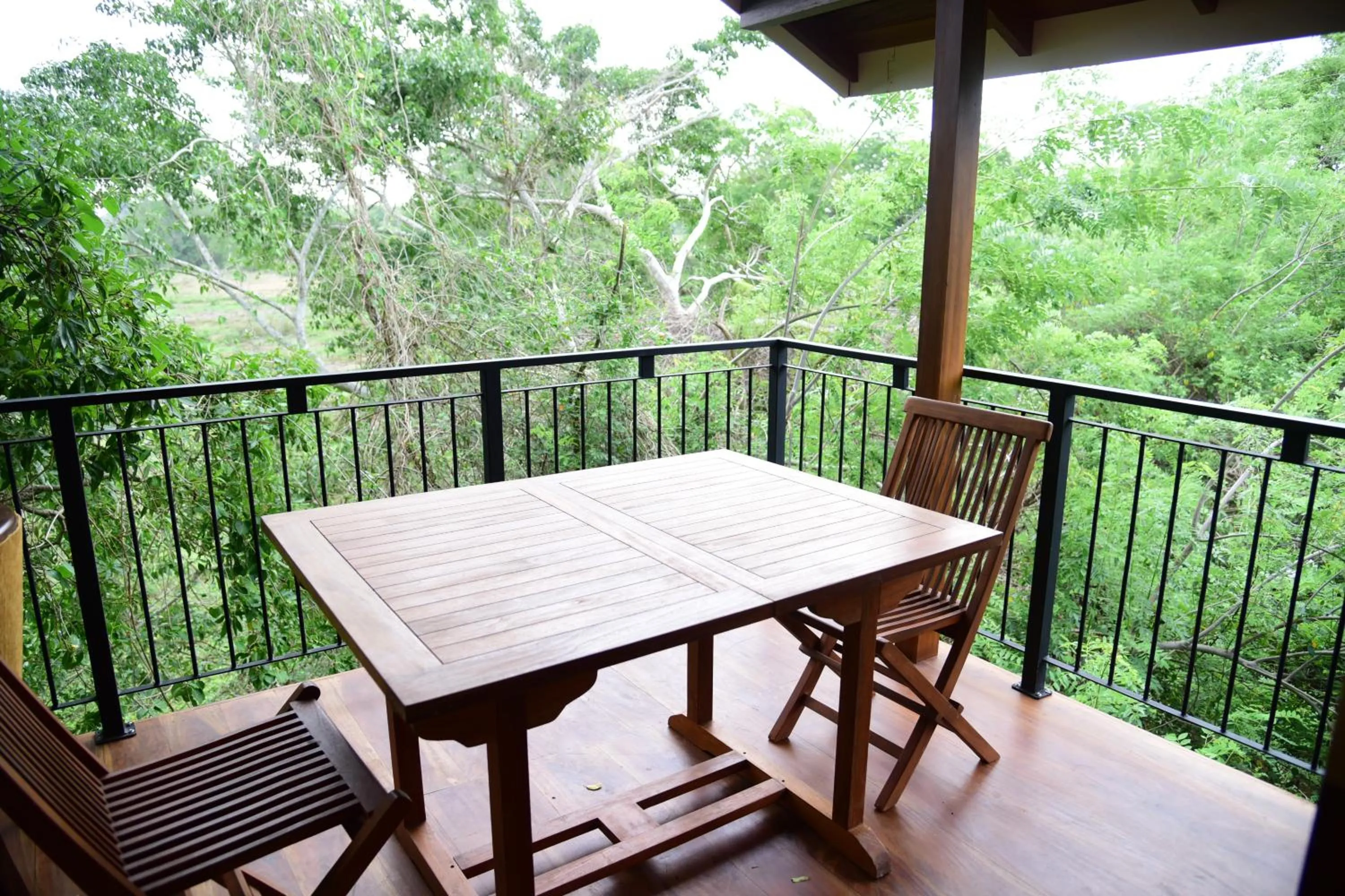Balcony/Terrace in Wilpattu Tree House