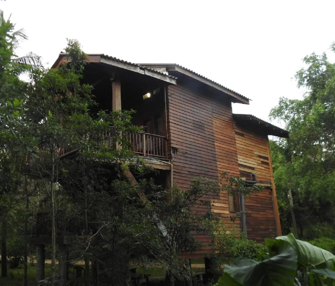 Property building in Wilpattu Tree House