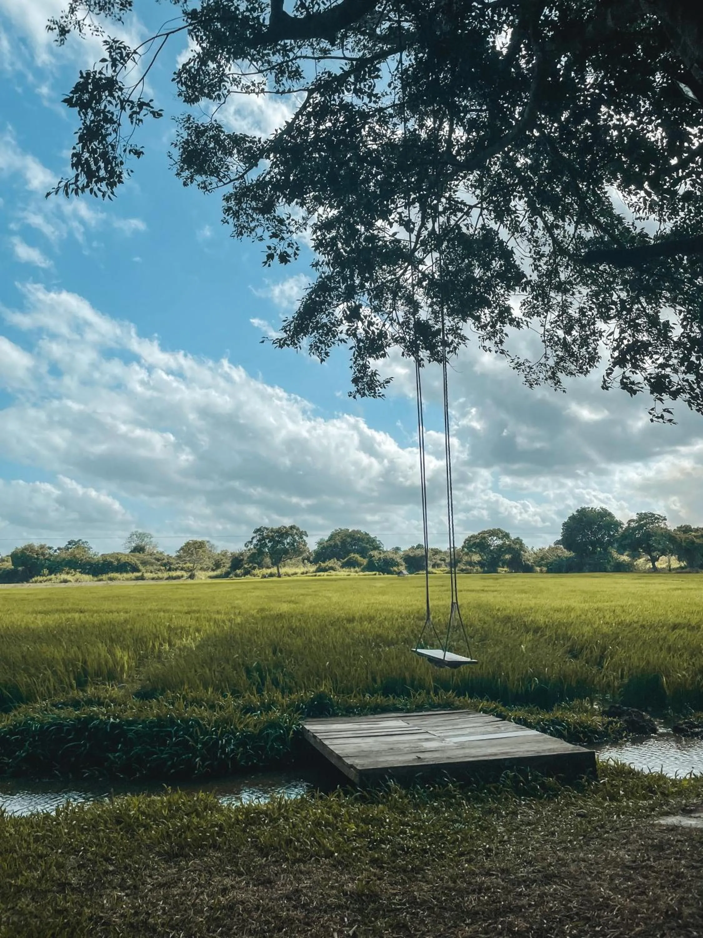 Natural landscape in Wilpattu Tree House