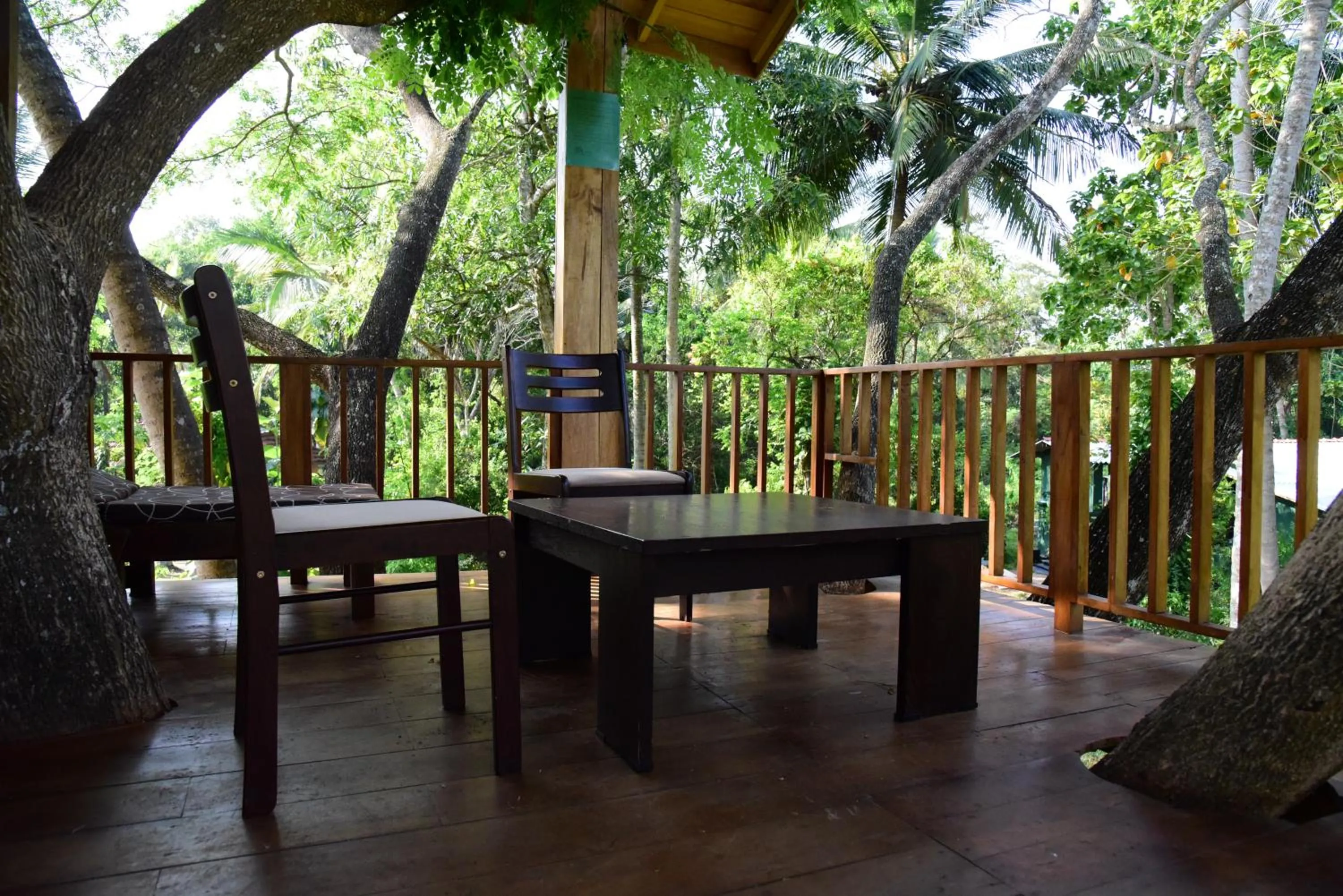 Balcony/Terrace in Wilpattu Tree House