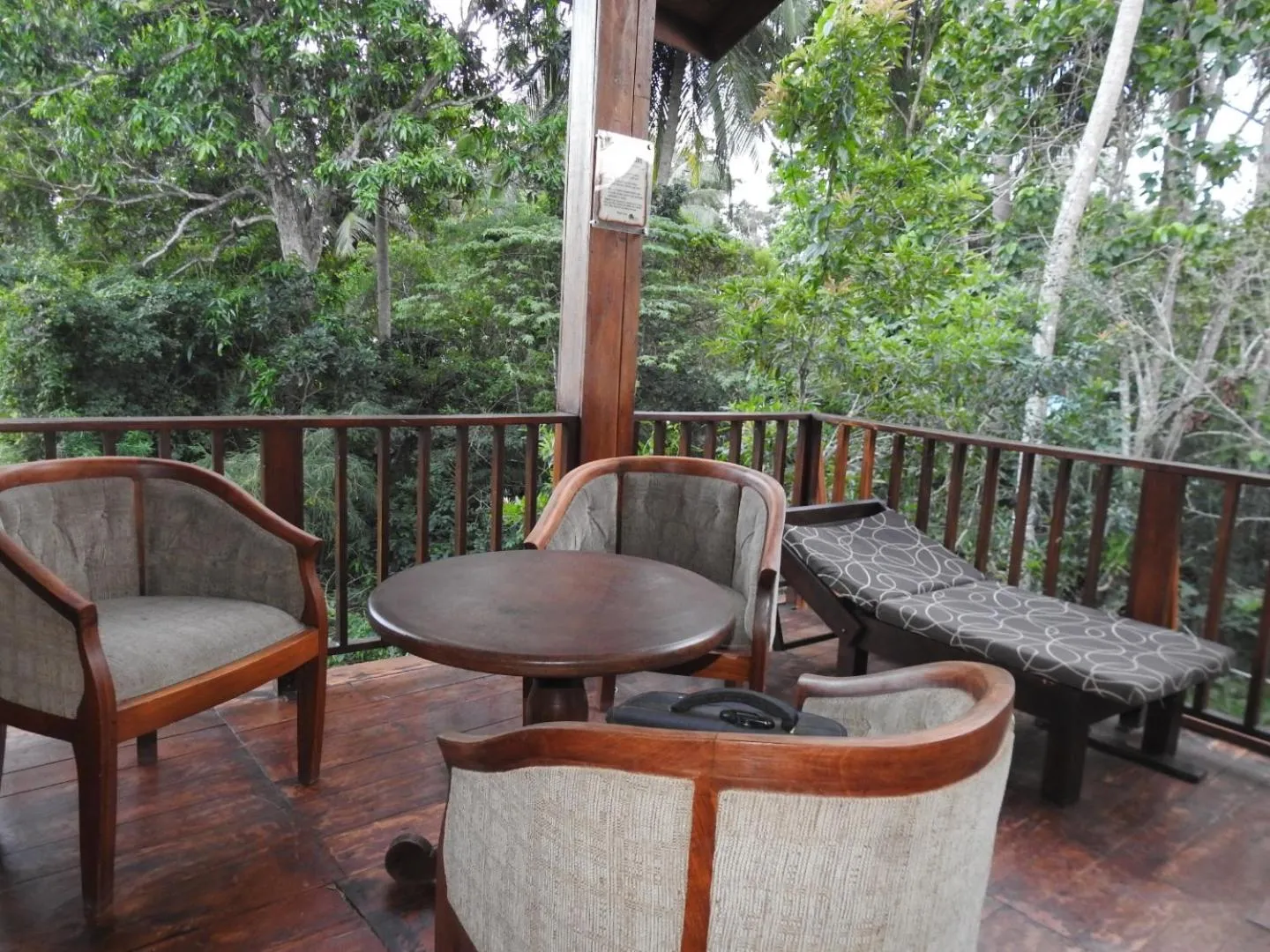Balcony/Terrace in Wilpattu Tree House