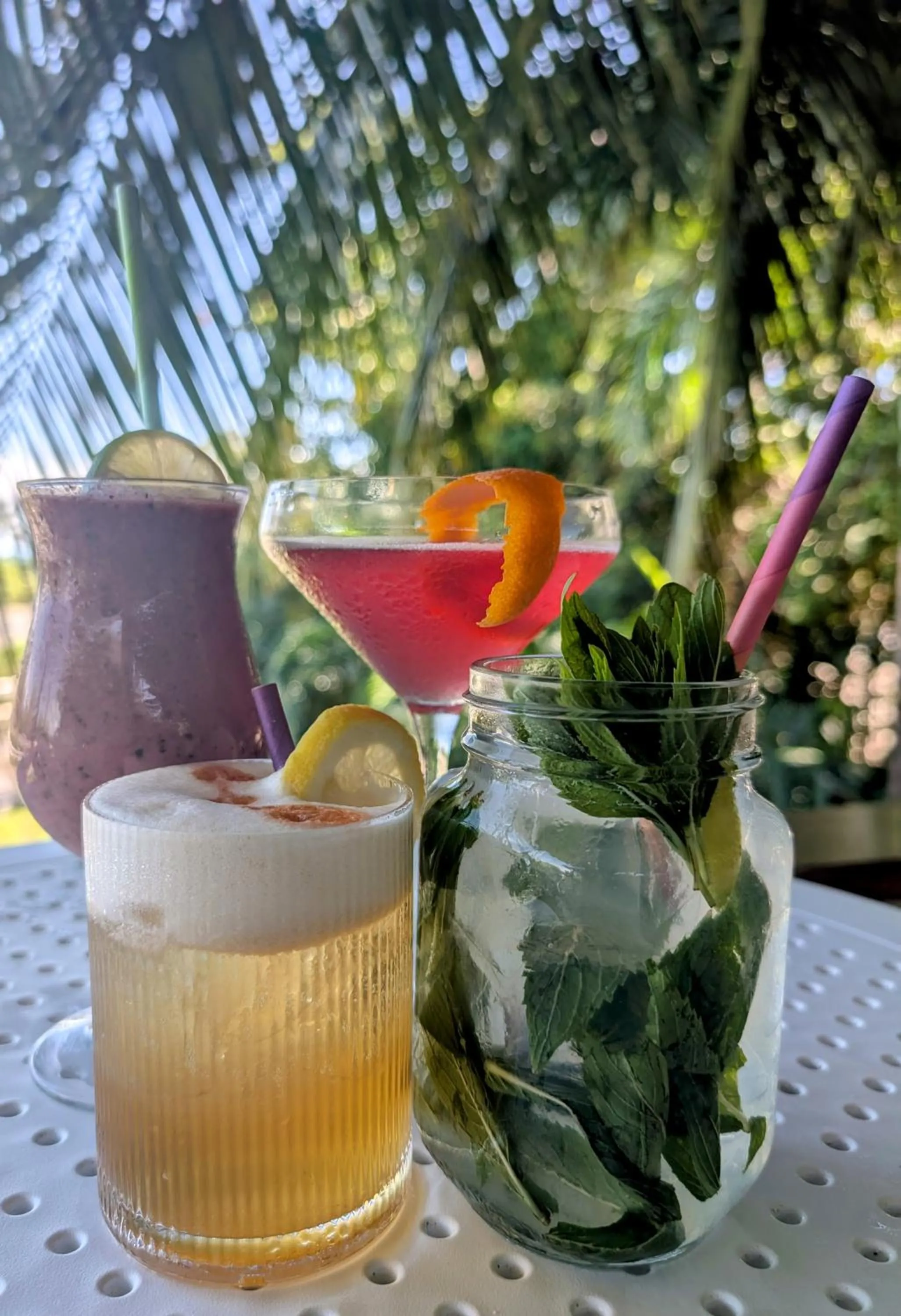 Lounge or bar in NRMA Airlie Beach Holiday Park