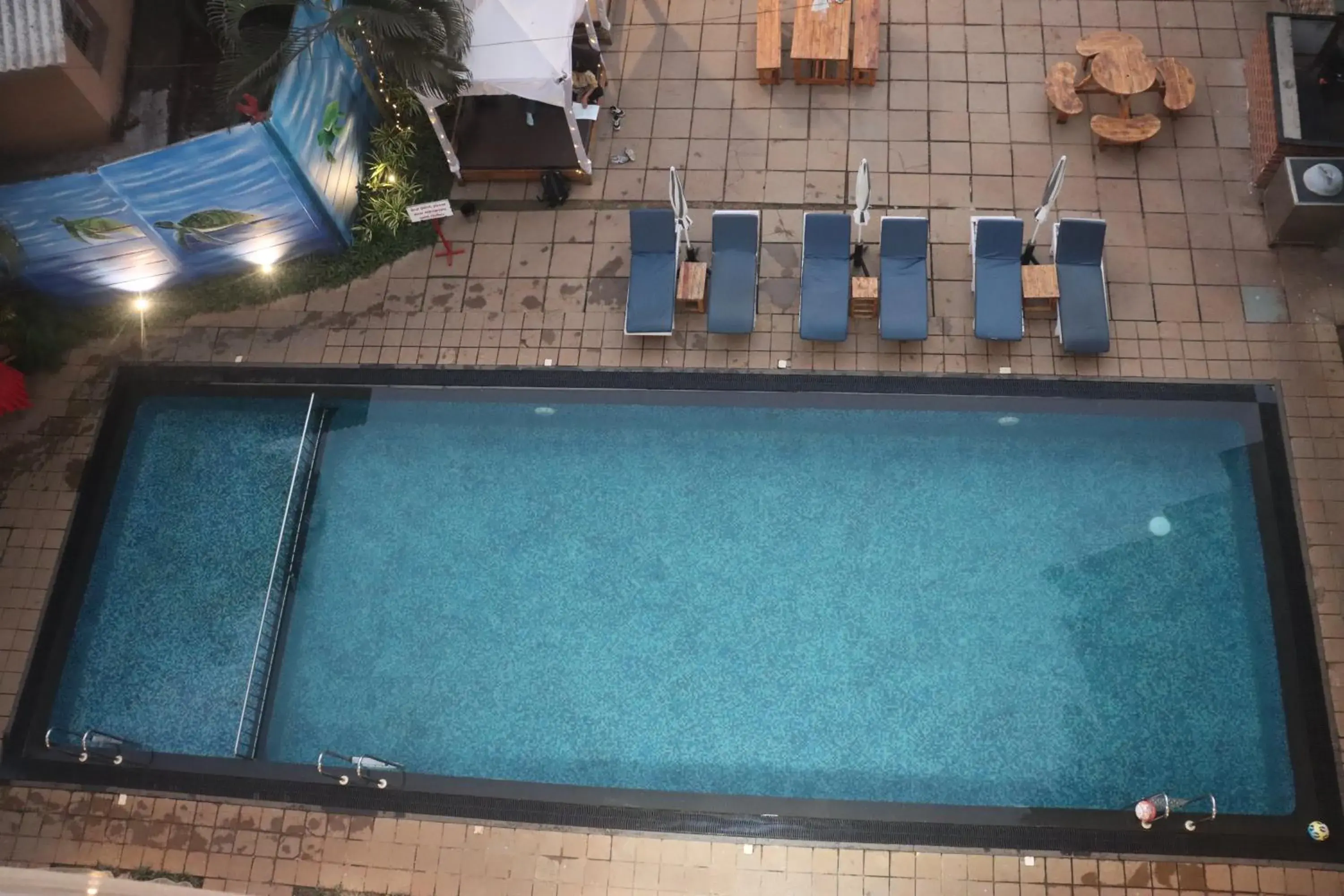 Pool view in Turtle Beach Resort - Morjim Pool view in Turtle Beach Resort - Morjim