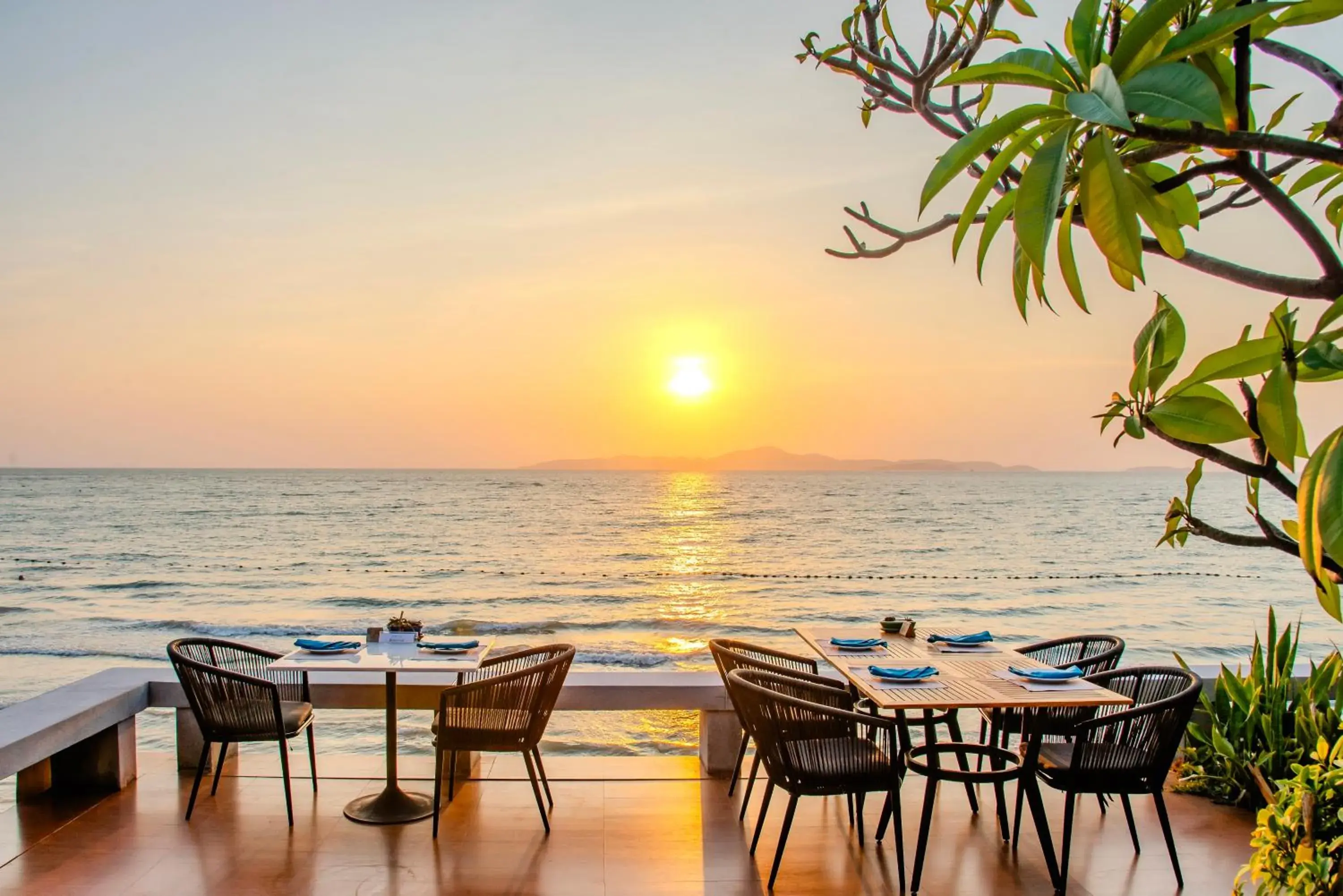 Restaurant/places to eat in Royal Cliff Beach Terrace Pattaya Restaurant/places to eat in Royal Cliff Beach Terrace Pattaya