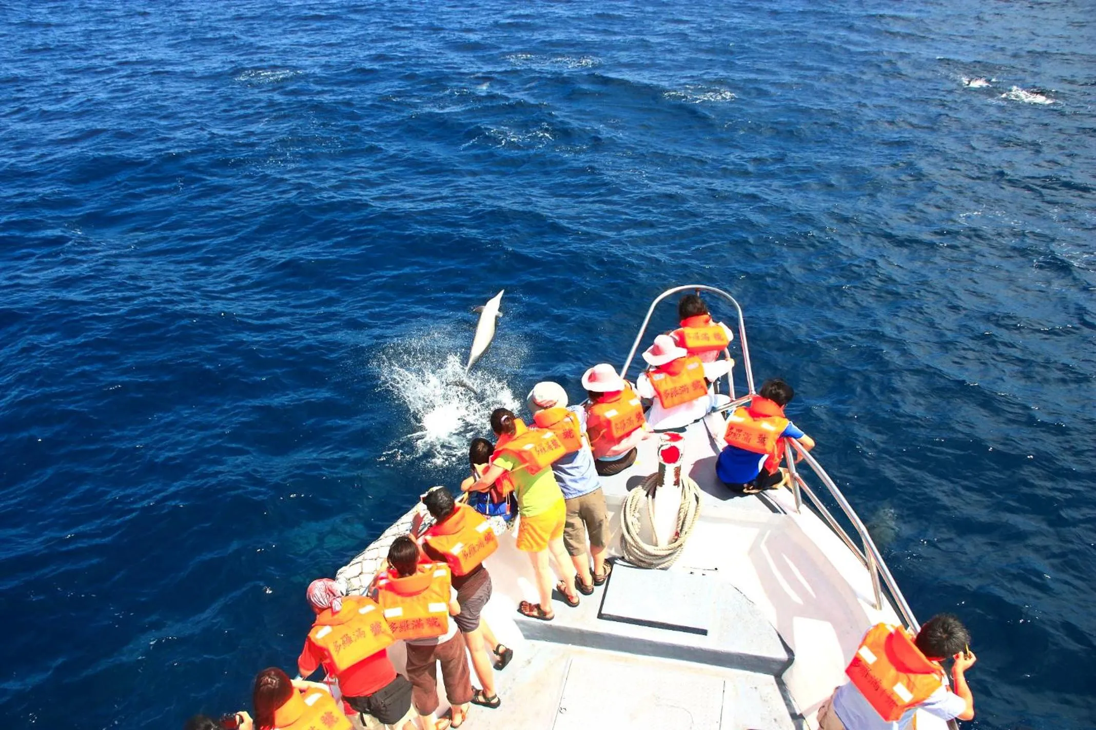 Activities in Hai Yuansu 178
