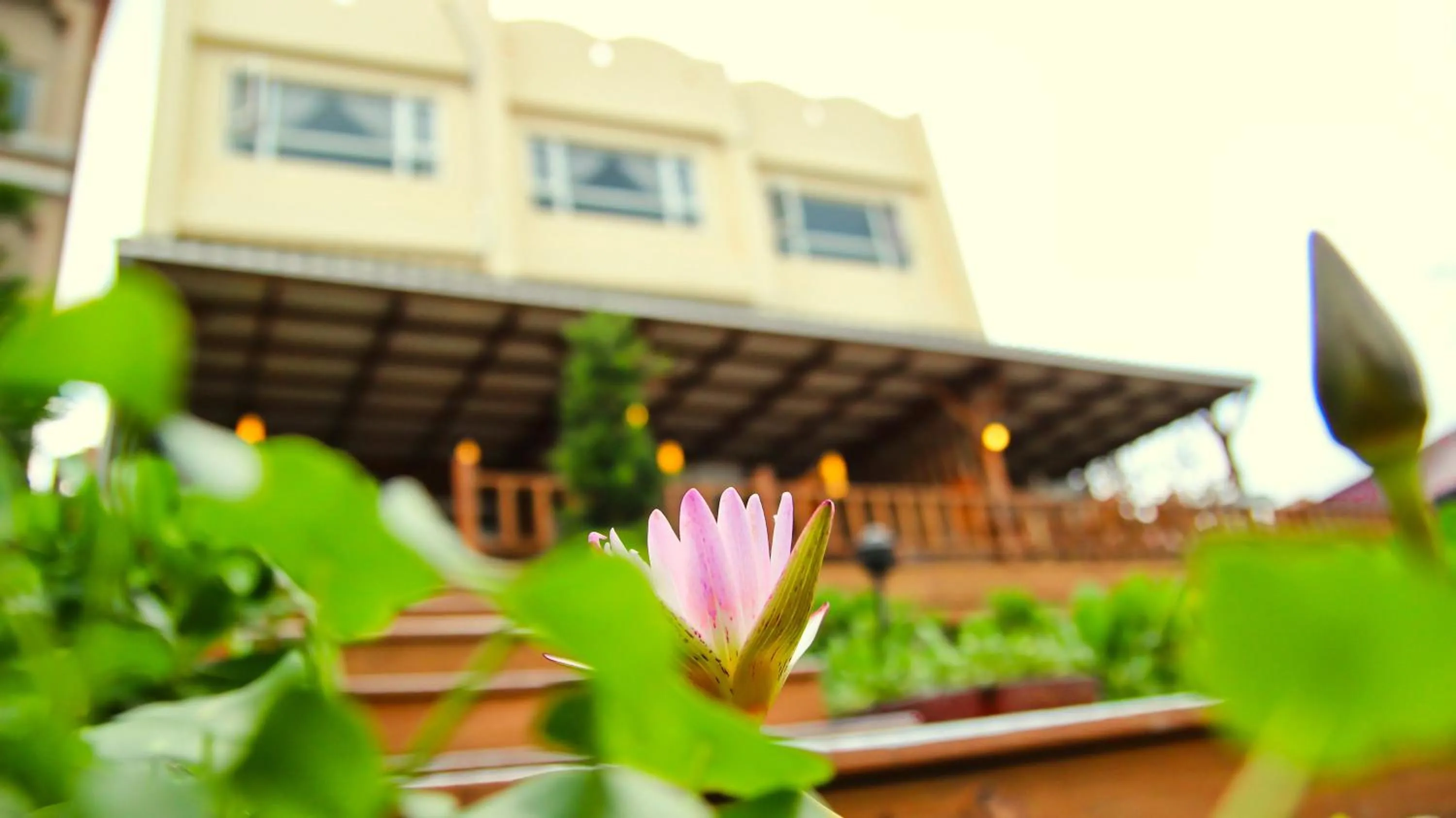 Property building in Hai Yuansu 178