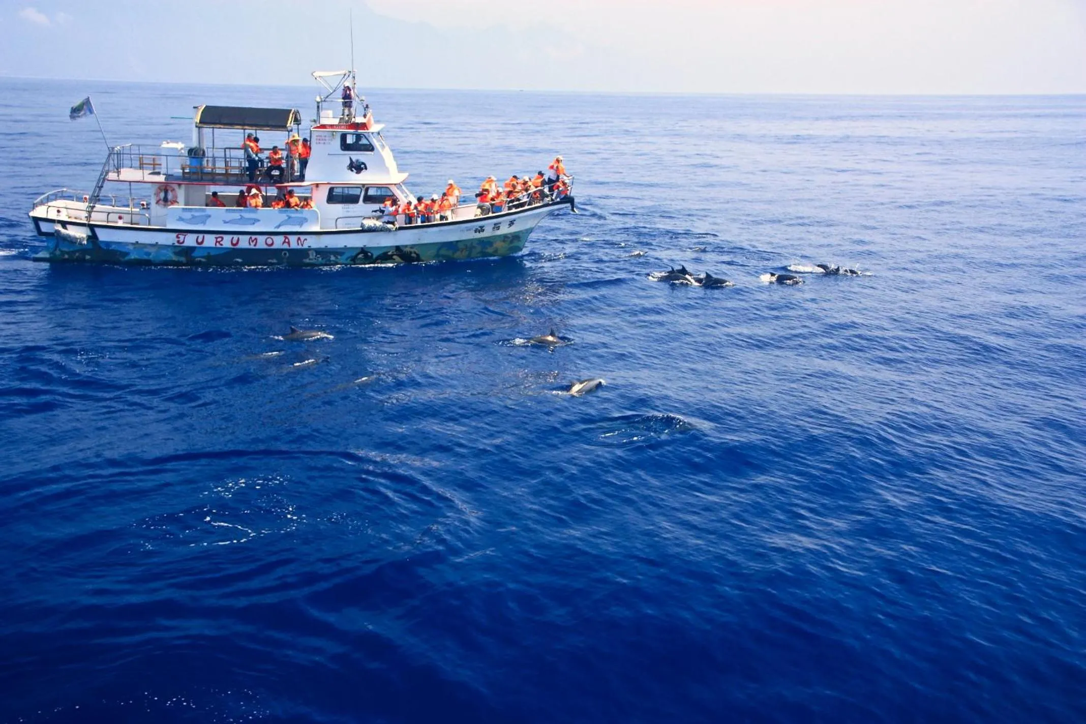 Activities in Hai Yuansu 178