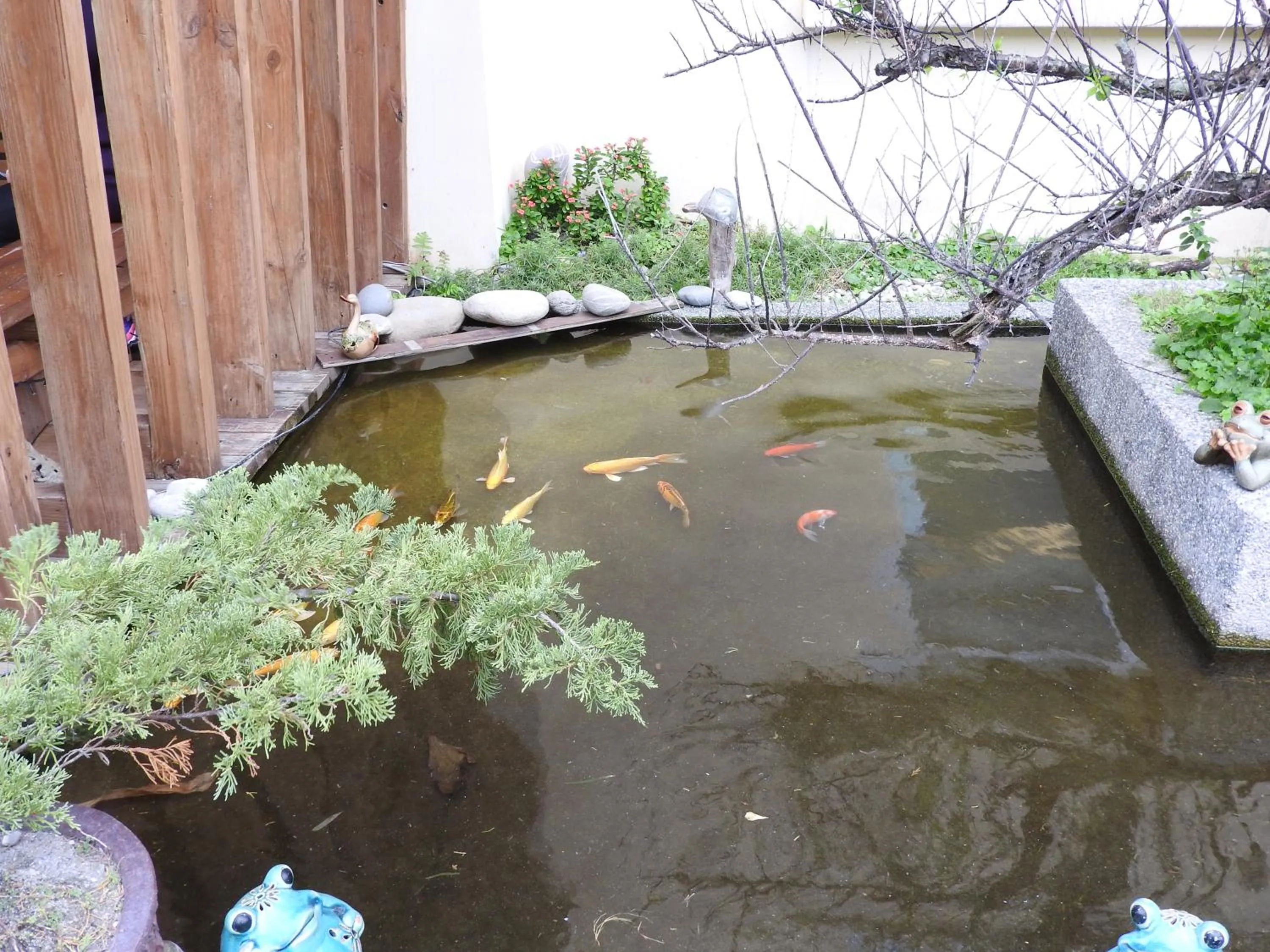 Garden in Hai Yuansu 178