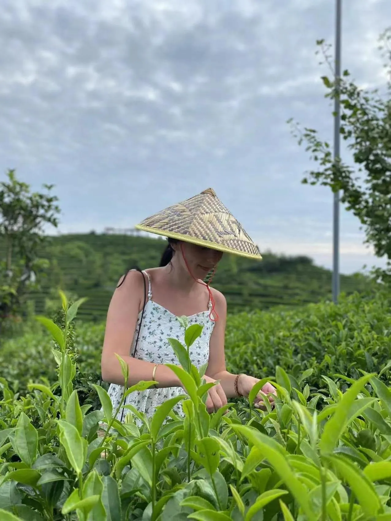Activities in Yangshuo River Lodge Hotel - Airport or TS Free pick up over 3 nights