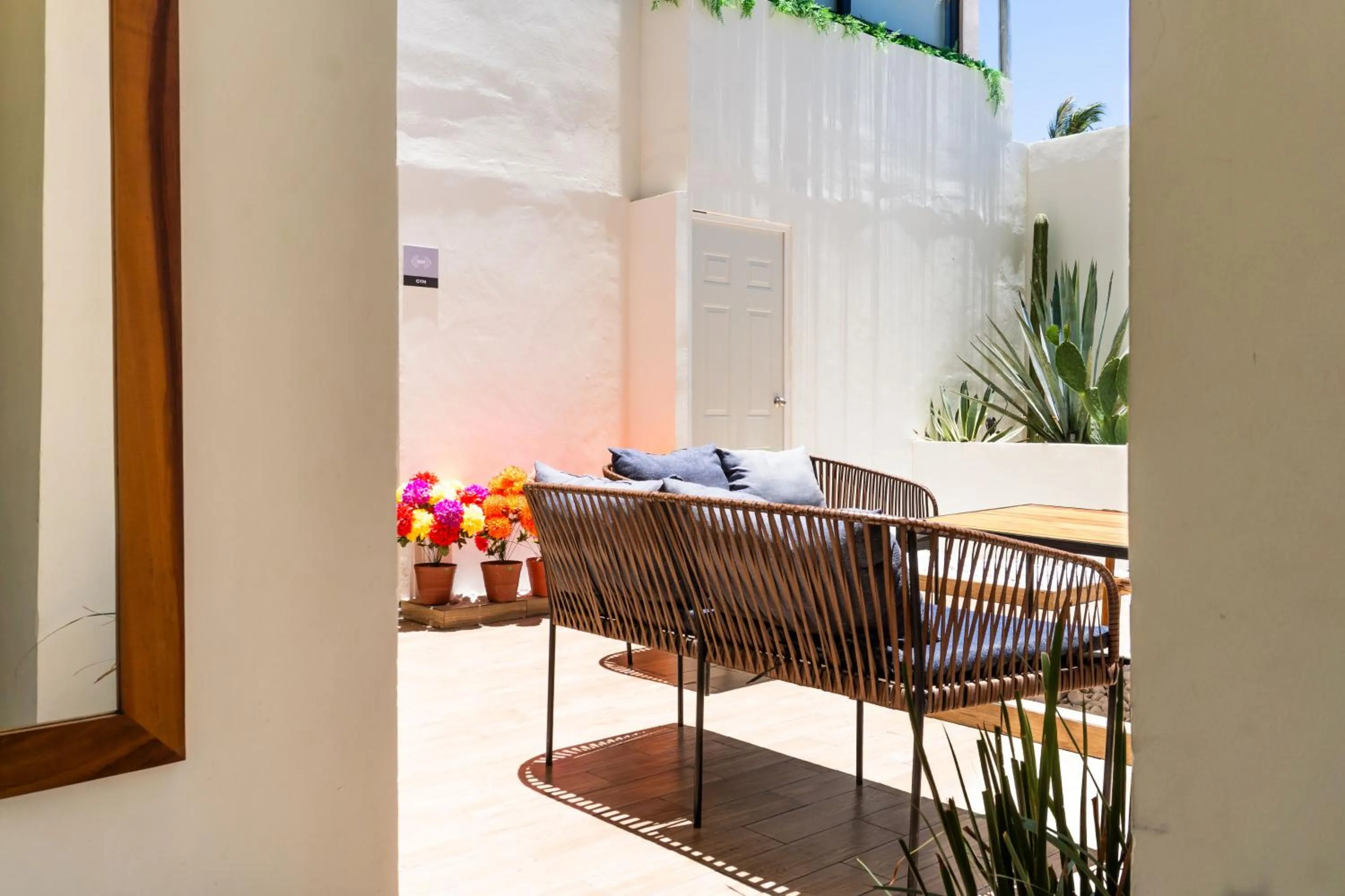Patio in Colmena Hotel Los Cabos Marina
