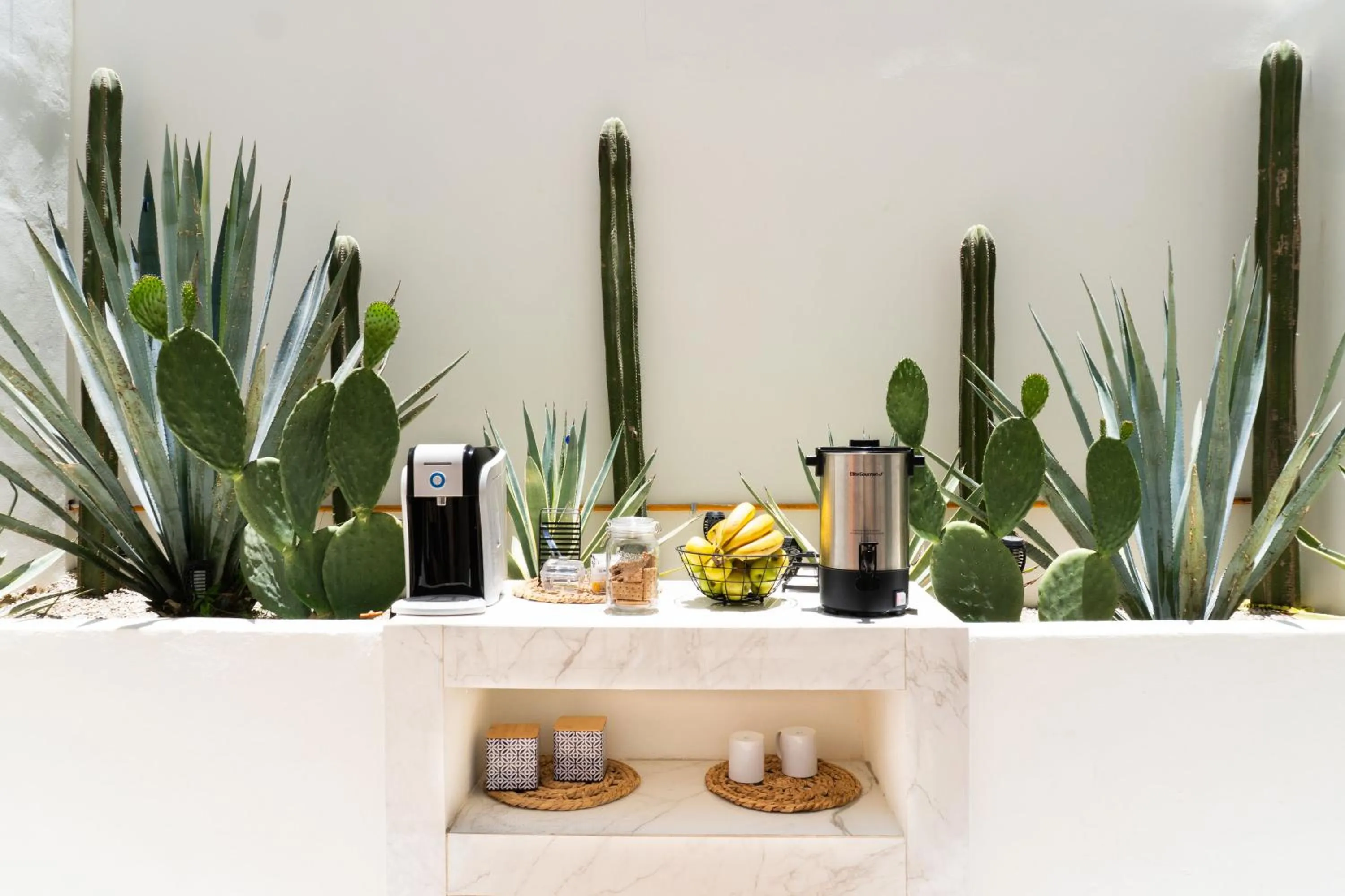 Patio in Colmena Hotel Los Cabos Marina