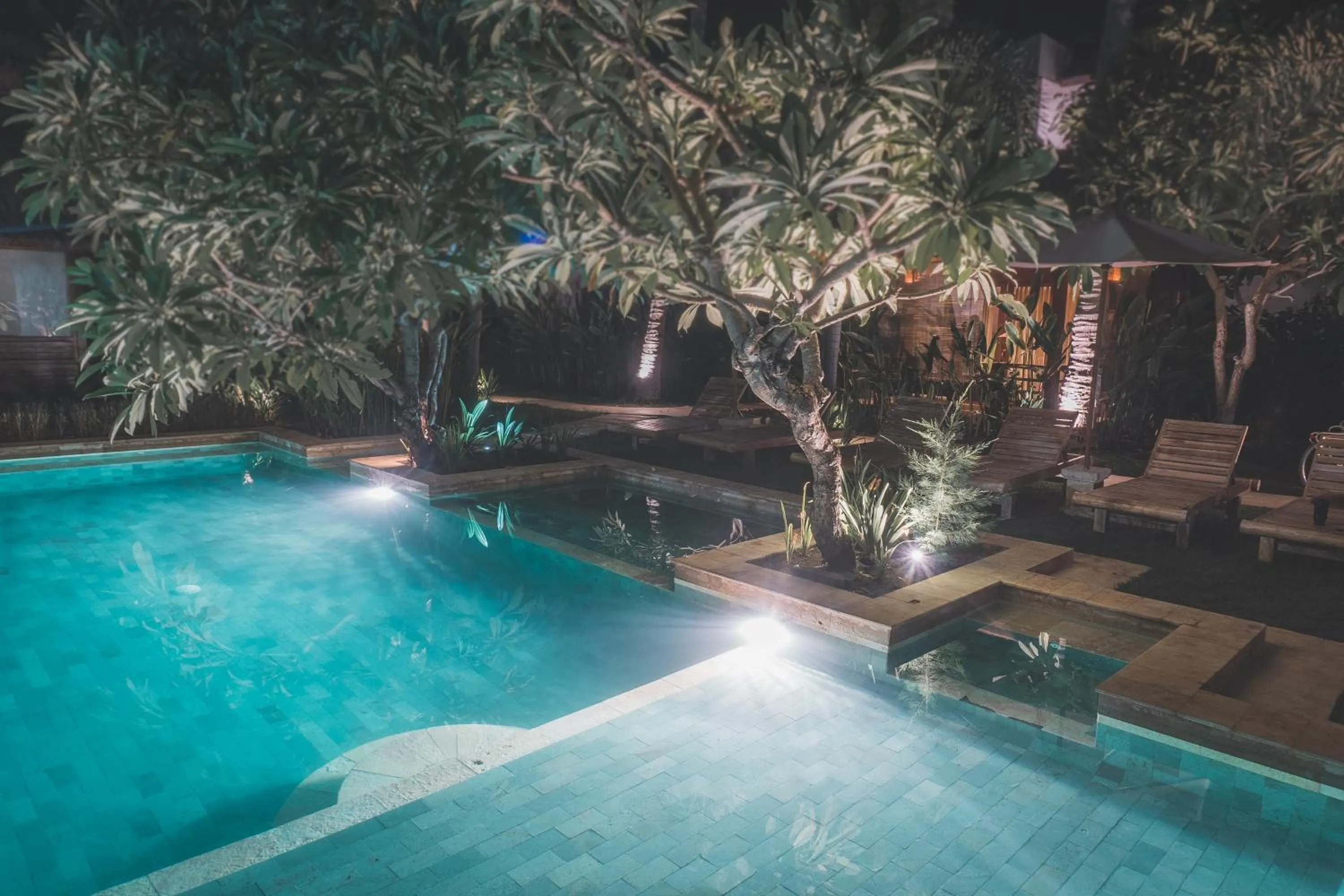 Night in Guava Garden