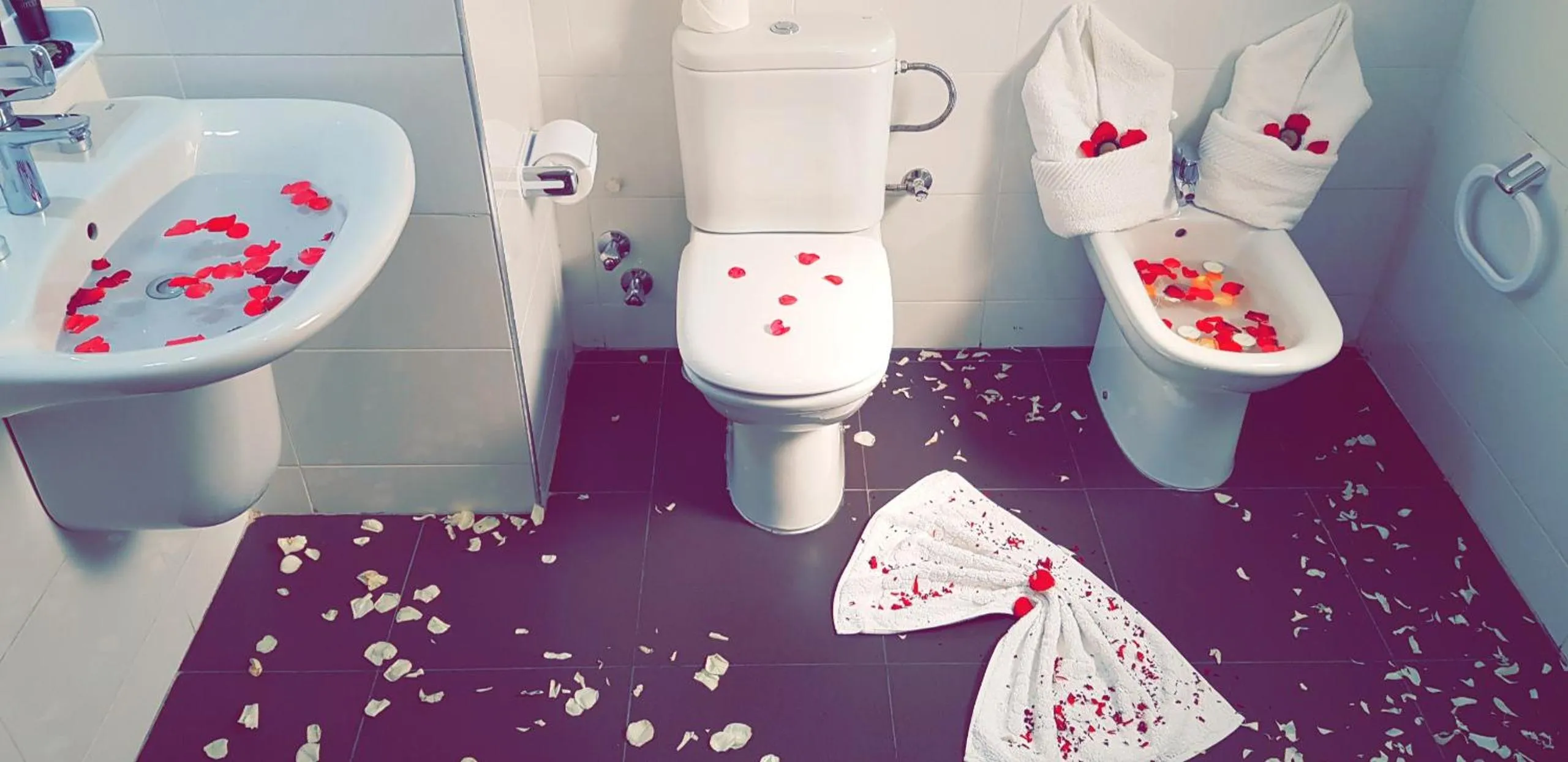 Bathroom in Al Akhawayn