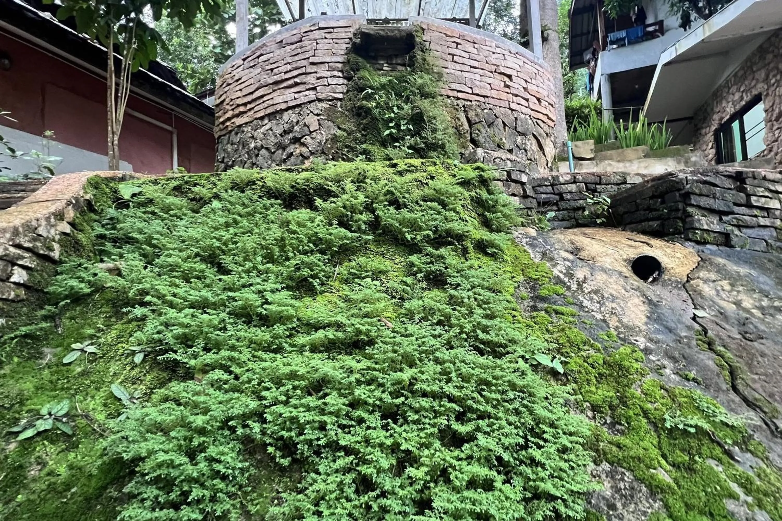 Area and facilities in The Cascade - Mae Taeng Waterfall Bungalows