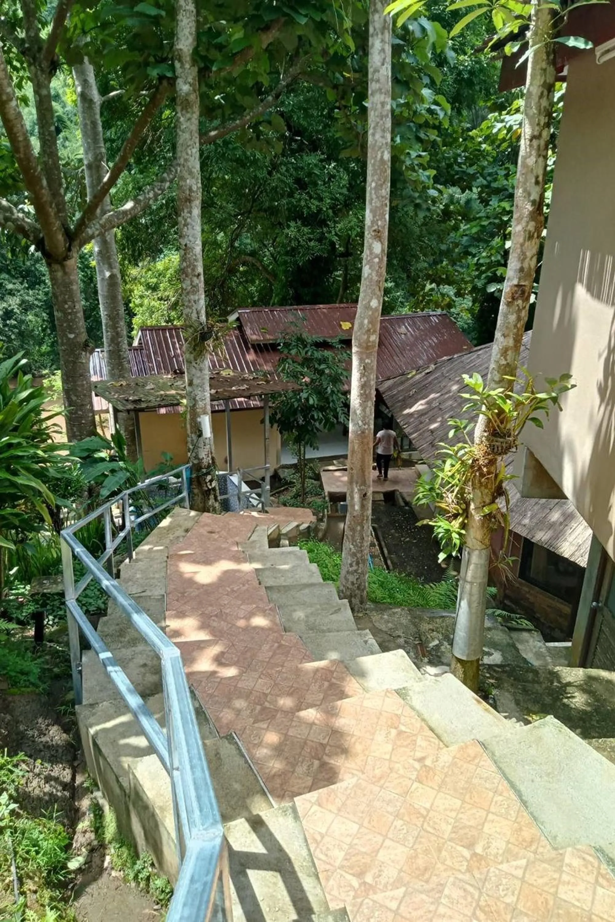 Garden in The Cascade - Mae Taeng Waterfall Bungalows