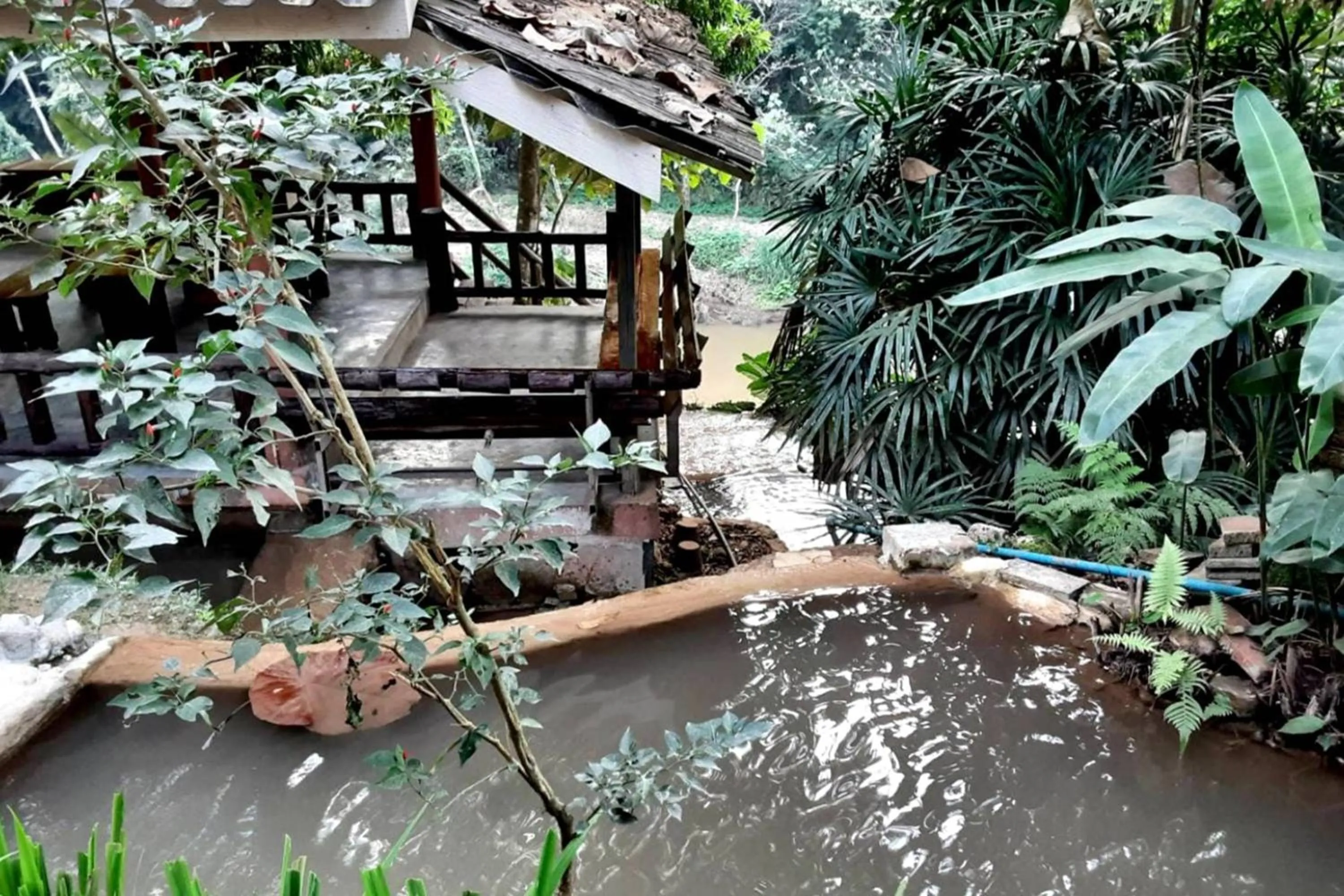 Area and facilities in The Cascade - Mae Taeng Waterfall Bungalows